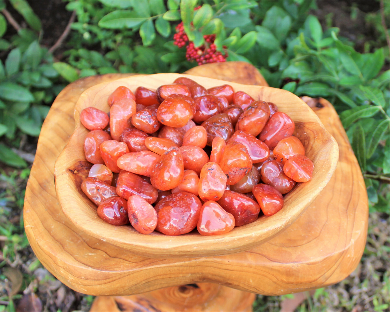 1/2 lb Bulk Carnelian Tumbled Stones Medium Crystal Healing Reiki US Seller 8 oz