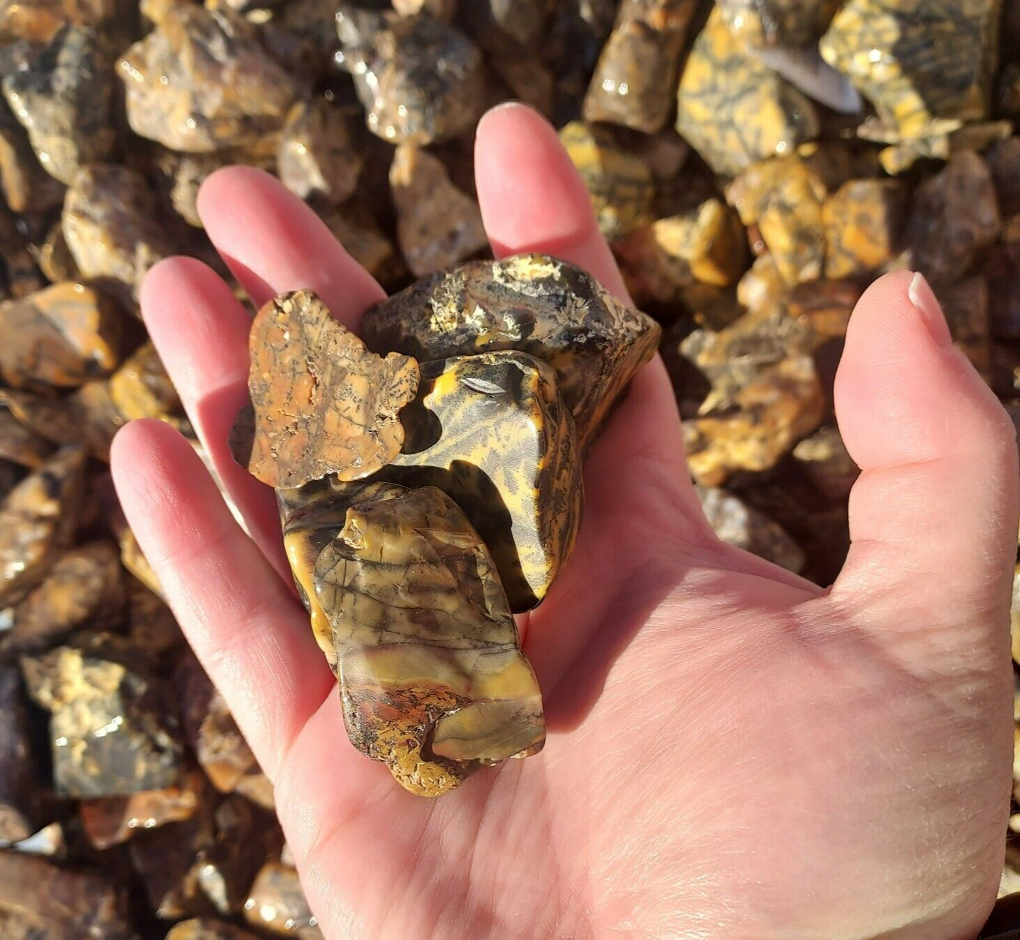 Utah Yellow Feather Jasper Tumbled Stones – Tumbled Gemstones Bulk