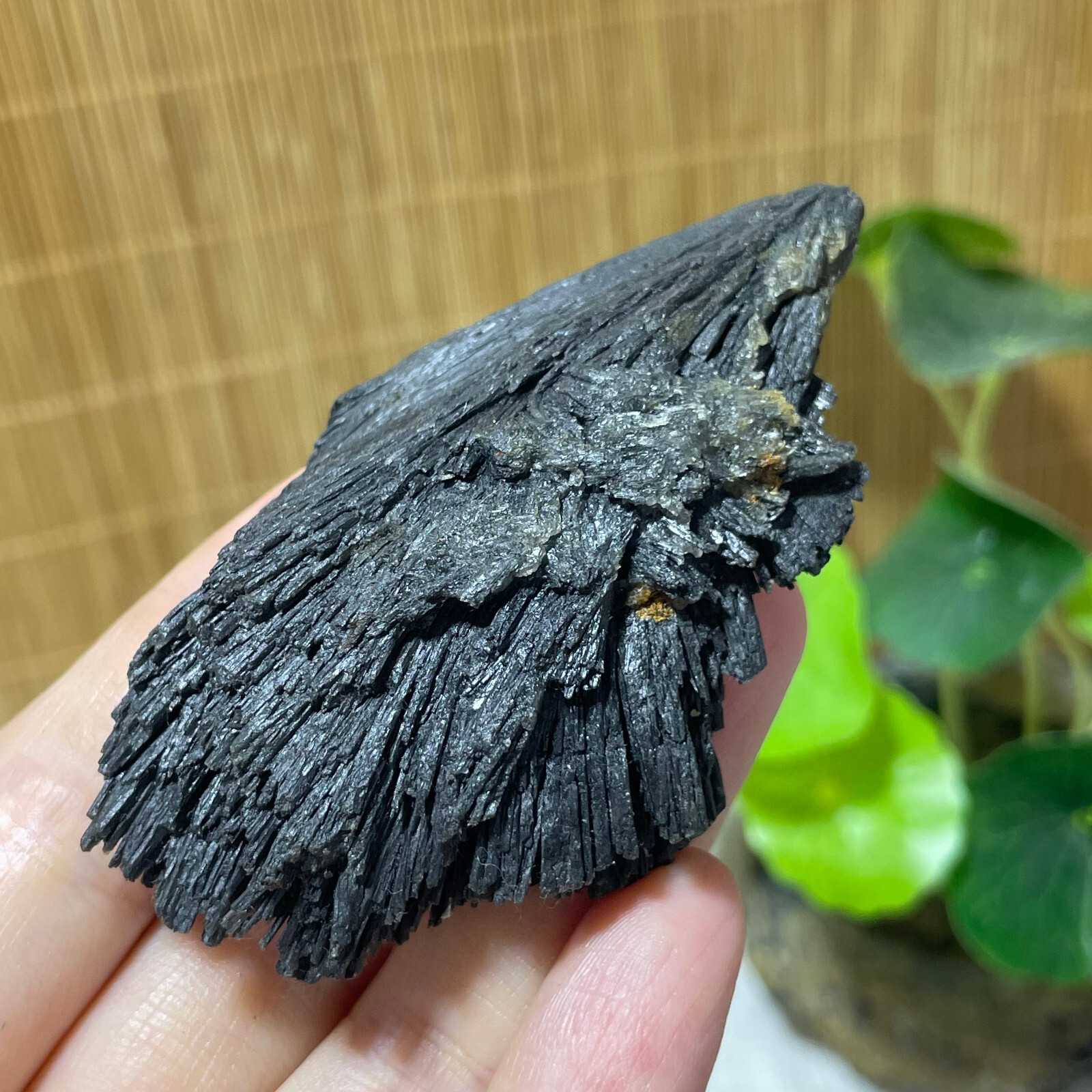 64g Natural Irregular natural black crystal cluster mineral specimen（dian qishi）