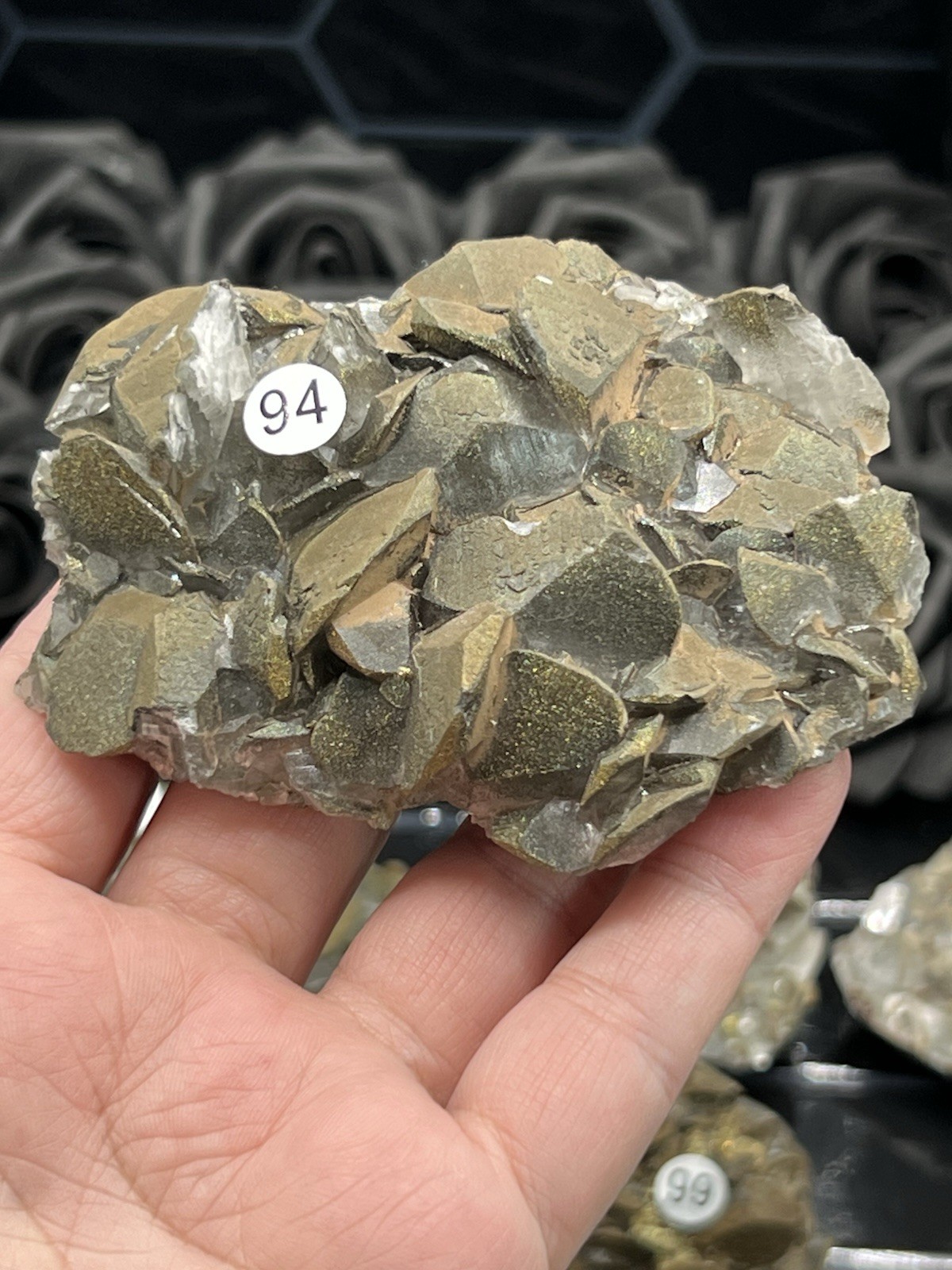 Natural Pyritic “Benz Coin” Calcite Specimen great Formation Free ship & Gift