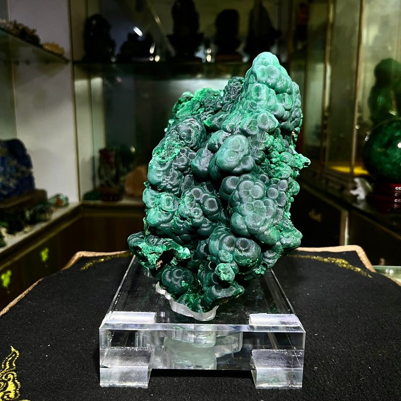 12LBNatural Raw Botryoidal Malachite Cluster Rough Green Mineral Specimen With C