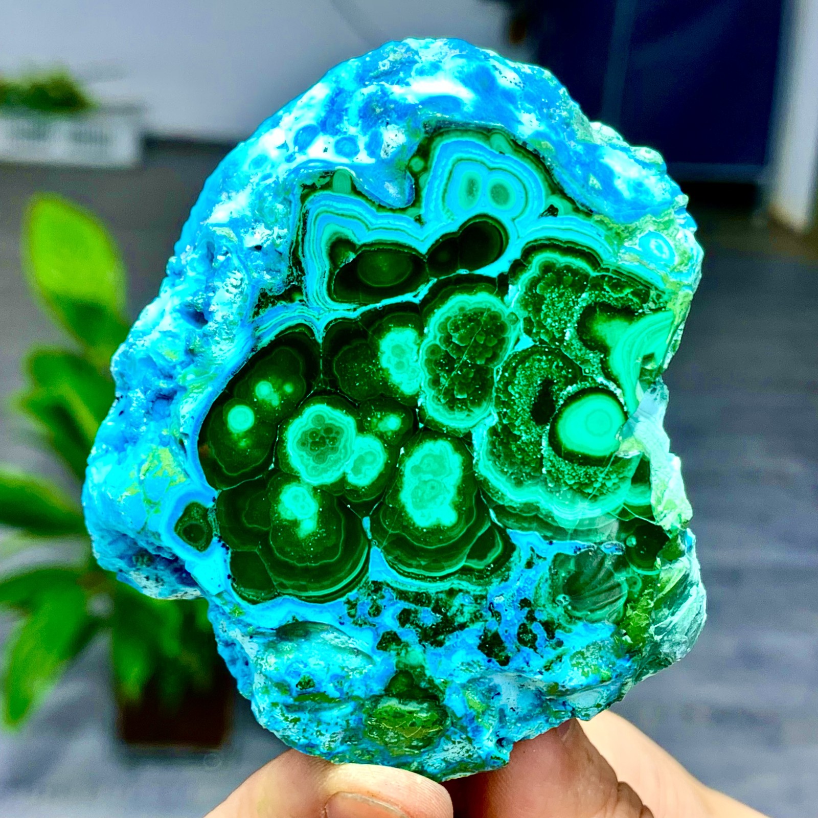 205G Natural Chrysocolla/Malachite transparent cluster rough mineral sample