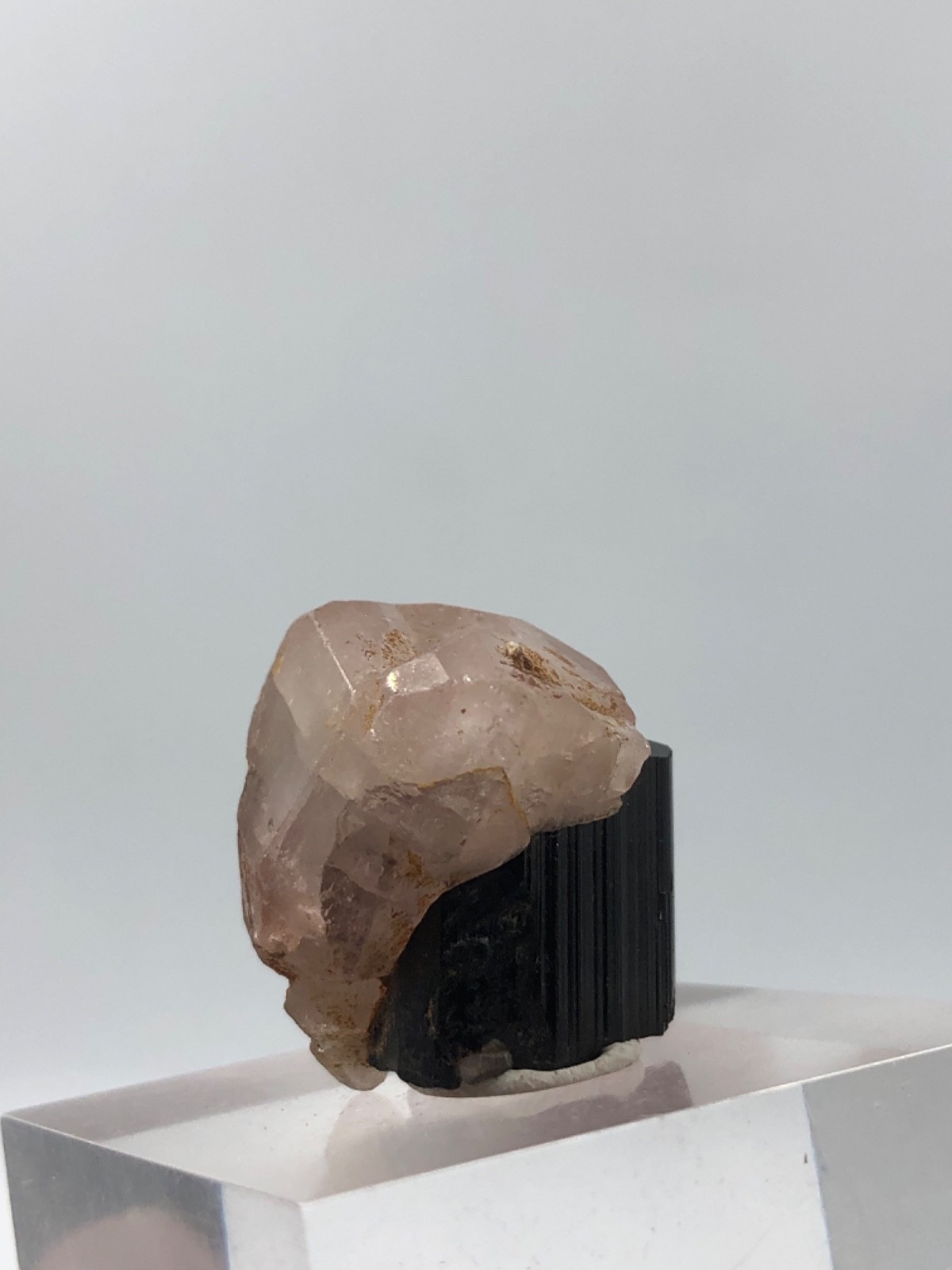 14 Grams Fluorescent Pink apatite Crystal with schorl from skardu pakistan