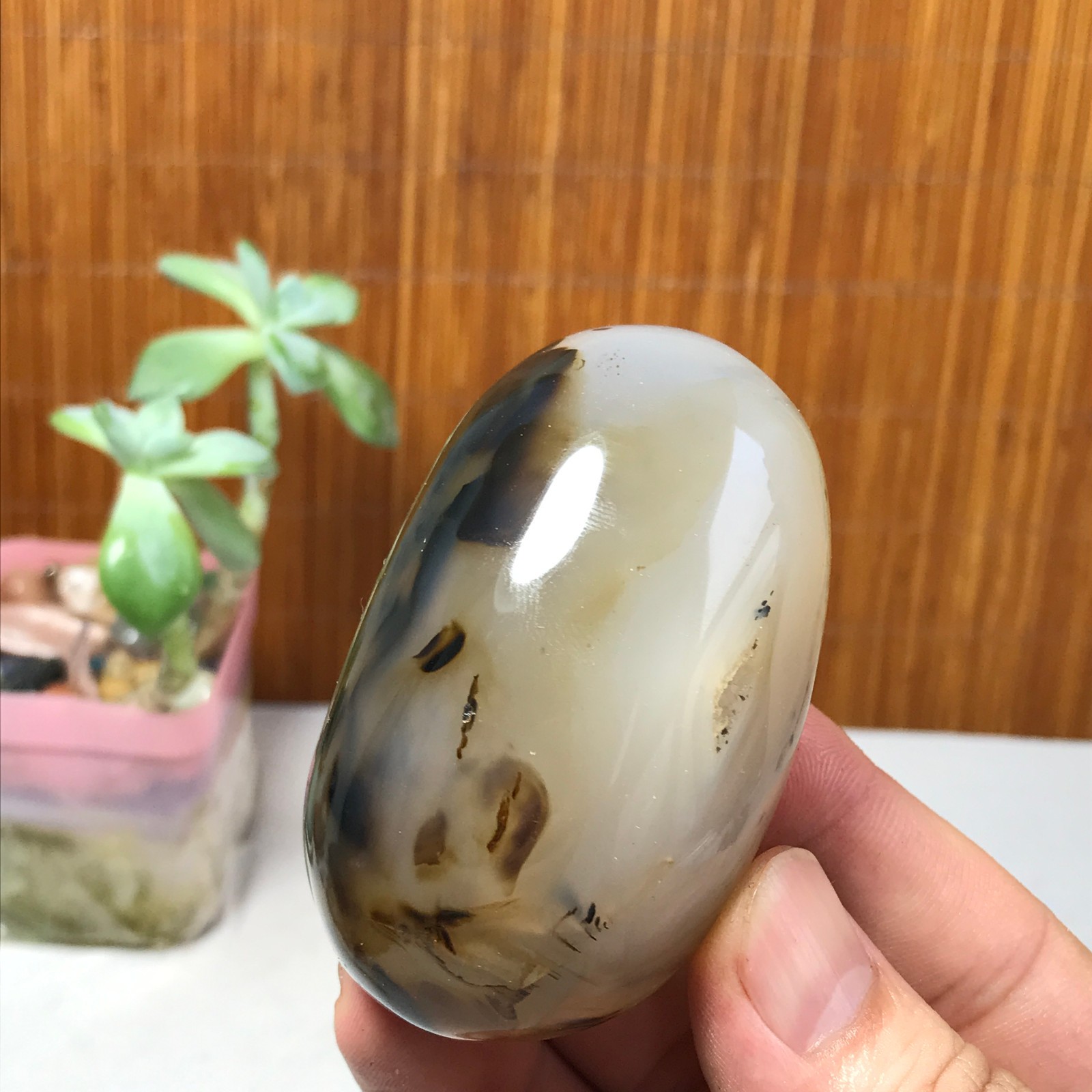 67mm Natural aquatic plants agate pretty Crystal specimens 142g A1633