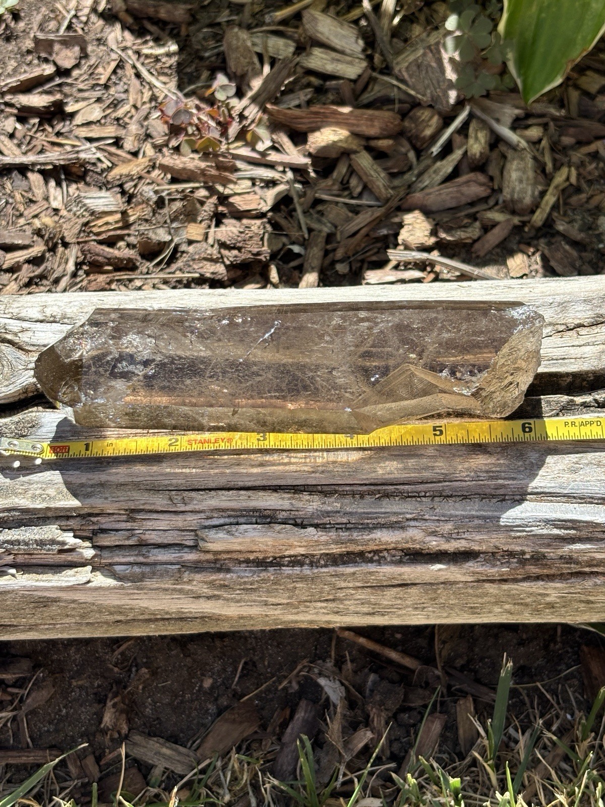 Switzerland Smoky Quartz Natural Point .