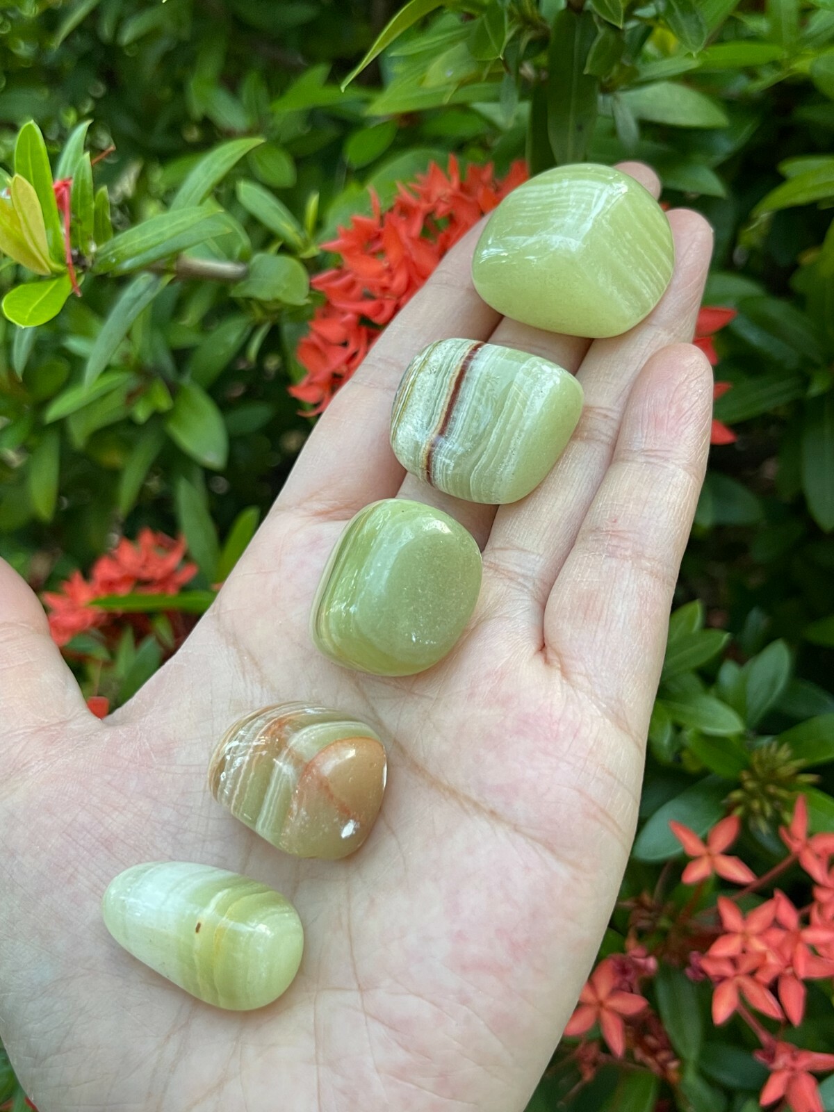 Grade A++ Green Onyx Tumbled Stones, 0.8-1.25″ Tumbled Green Onyx, Pick How Many