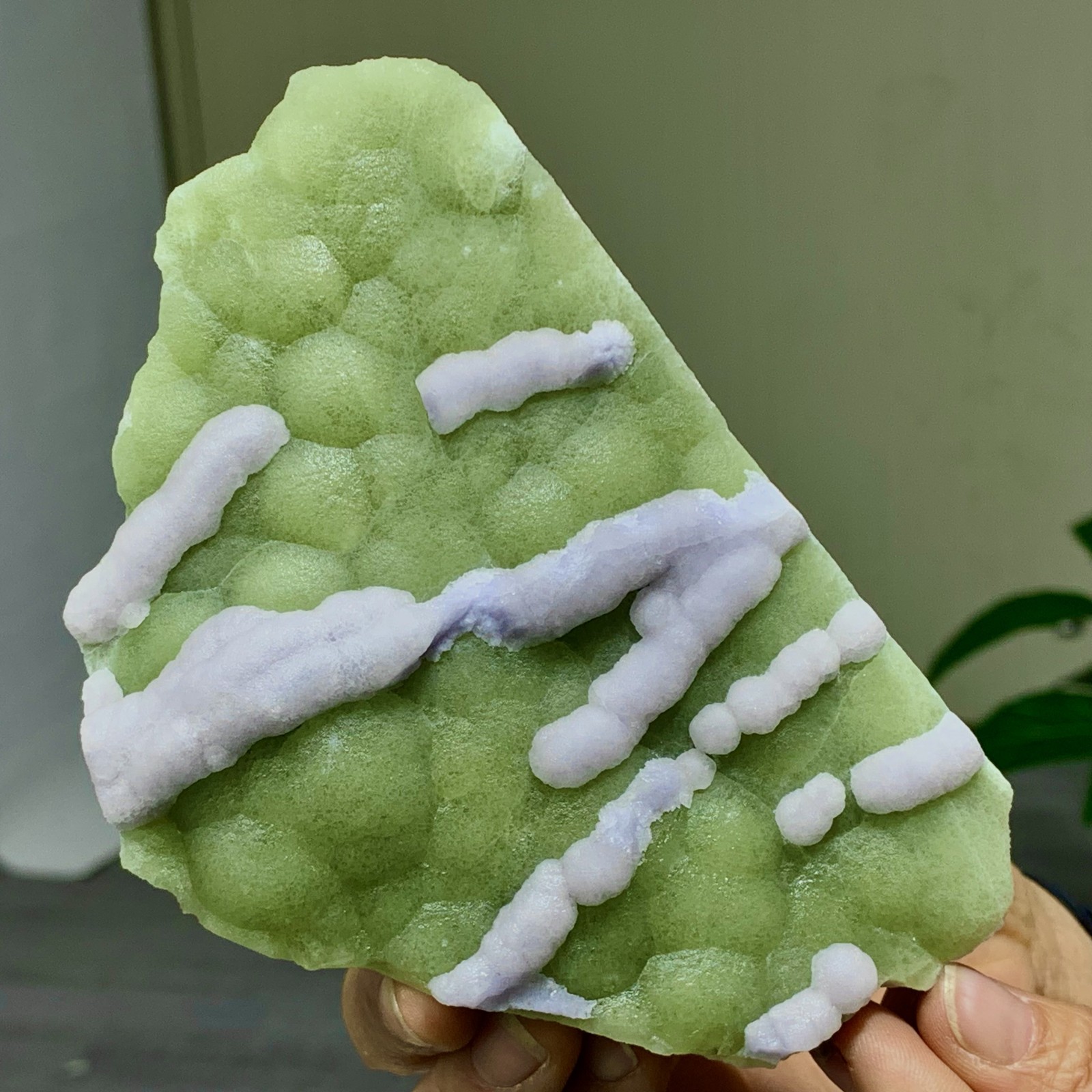 1.29LB Natural Fluorite Green-white dual color crystal mineral Specimen,Zhejiang
