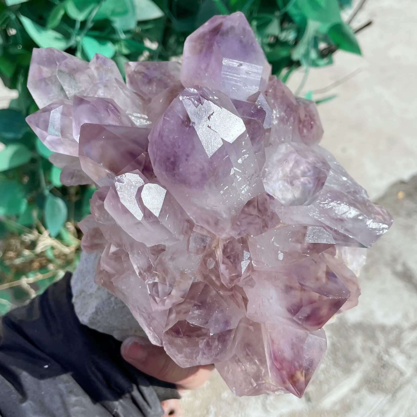 ALL 10.3LB Natural Amethyst Quartz Cluster Crystal Mineral Point Healing C2641