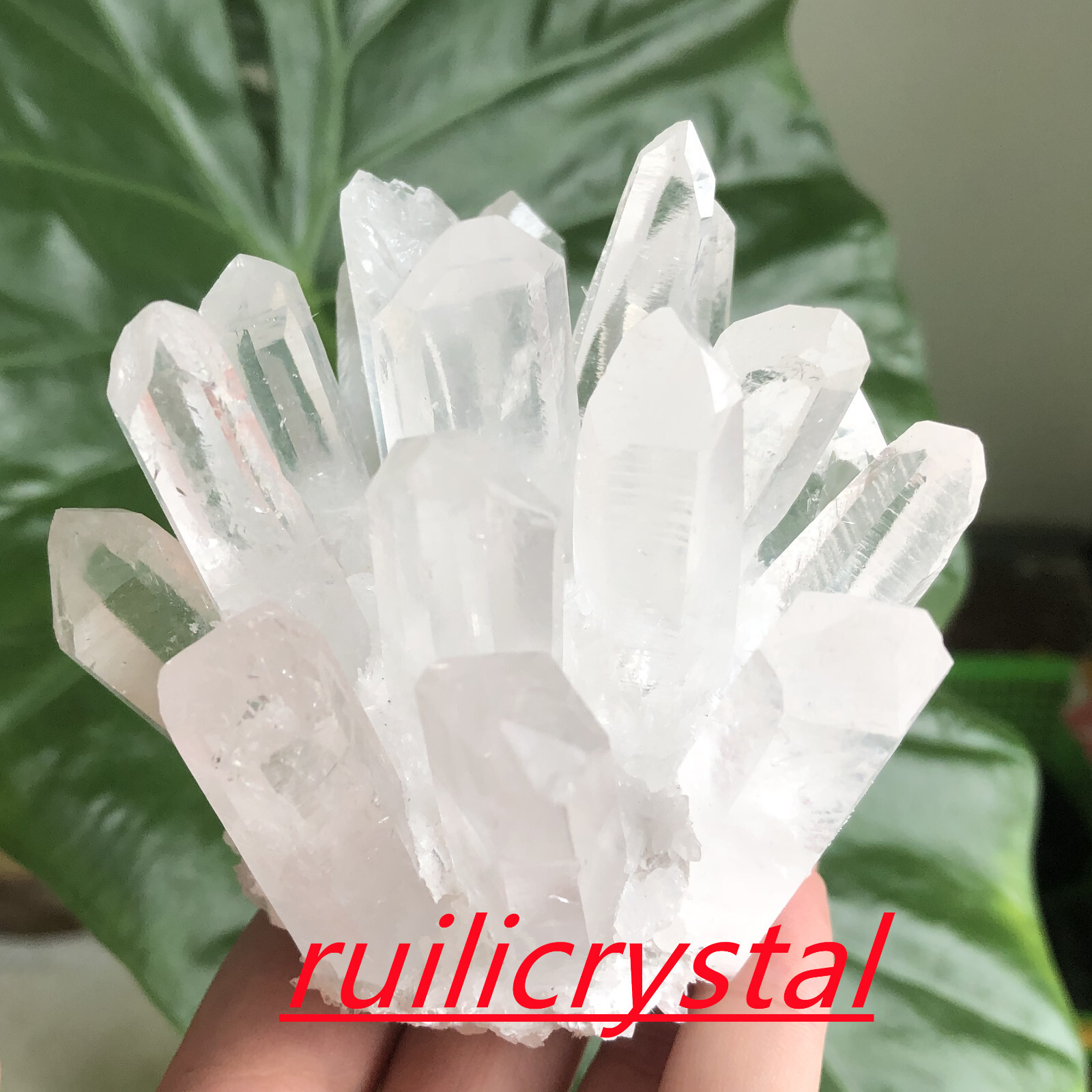 300g+natural clear quartz cluster white crystal point healing decor random 1pc