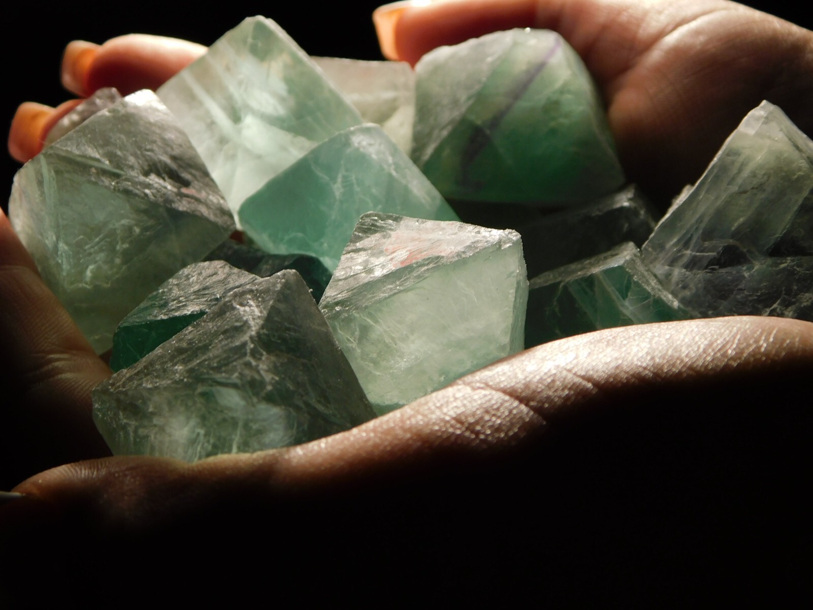 Over One Pound! or 500 Grams! Fluorescent FLUORITE Octahedron Crystals