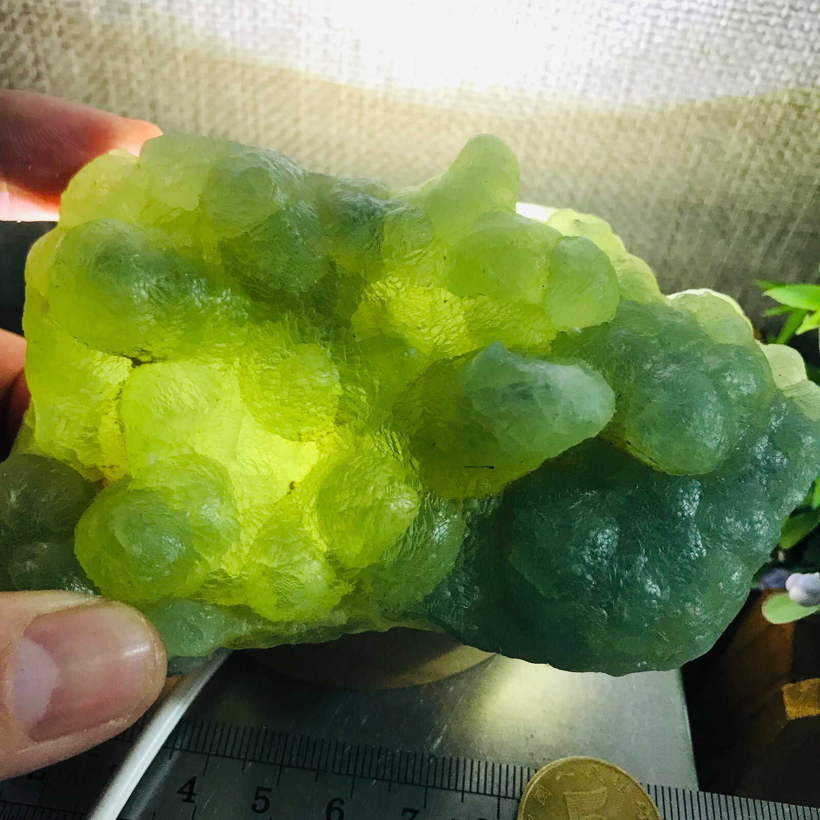 265g Natural Green chalcedony grape agate crystal specimen Indonesia 05