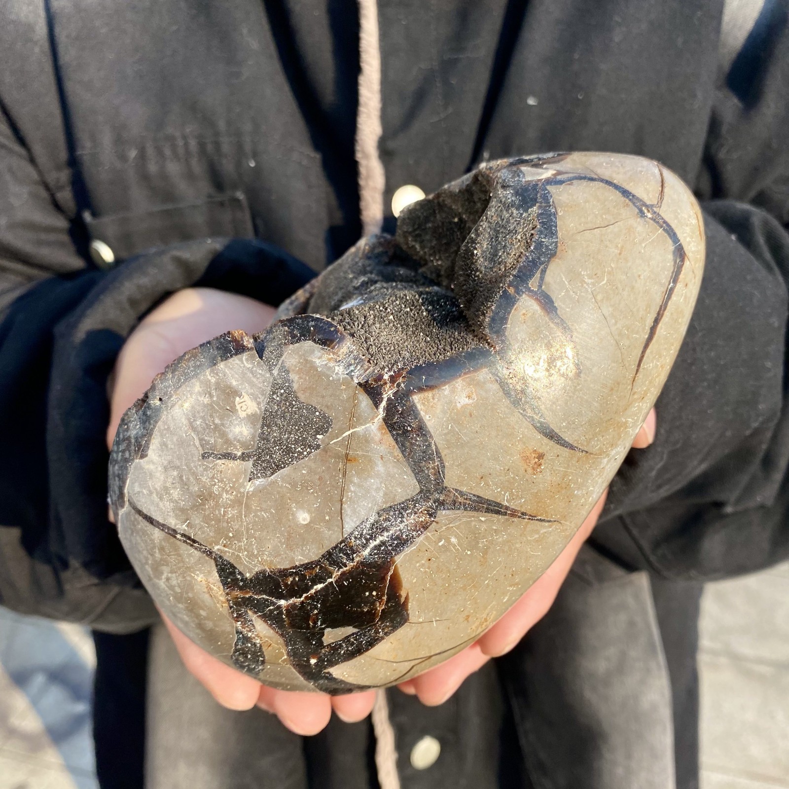 5.2LB natural turtle shell stone egg spiritual healing