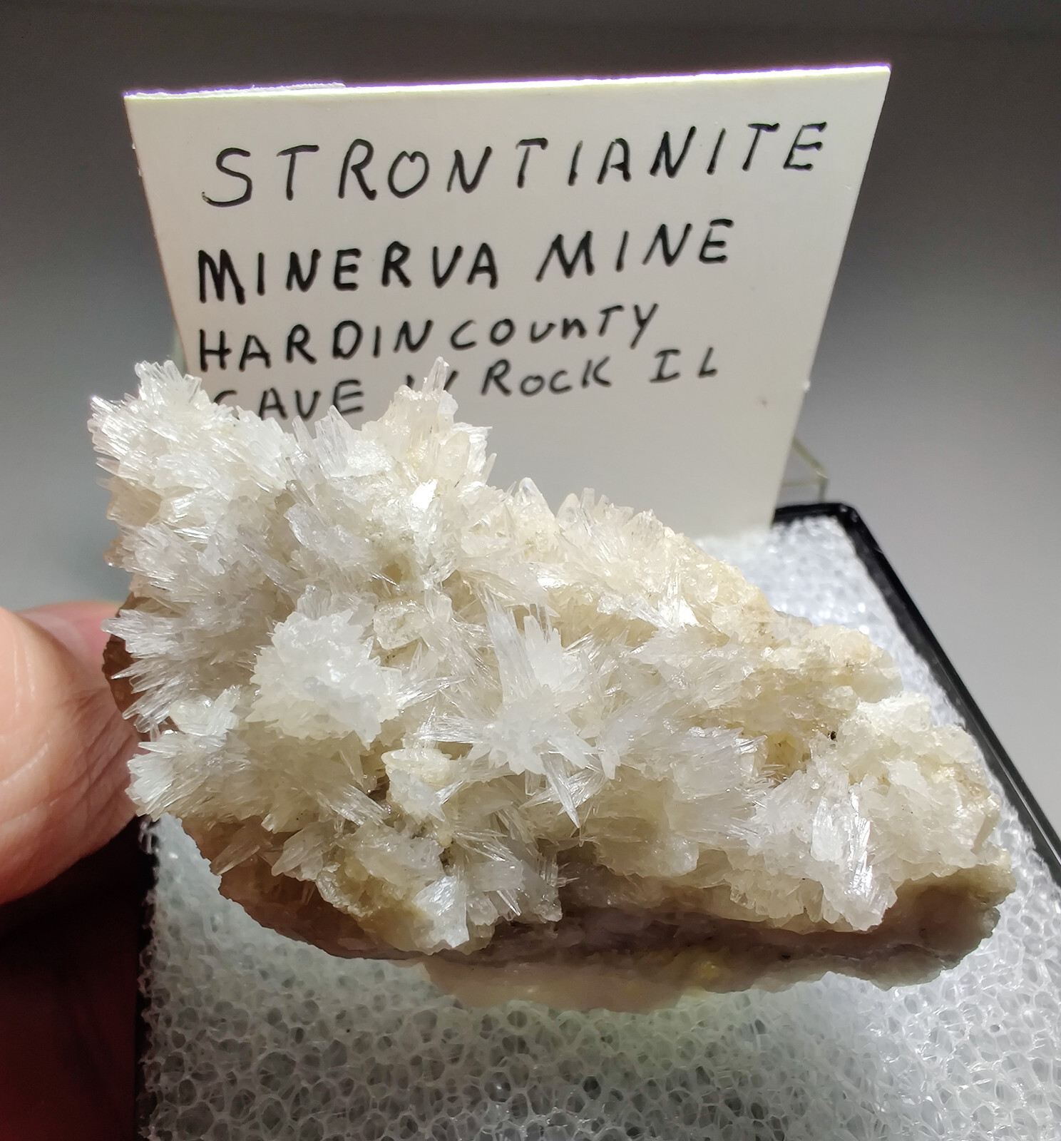 Strontianite crystals, excellent specimen! UV. Minerva Mine, Illinois. 6 cm.