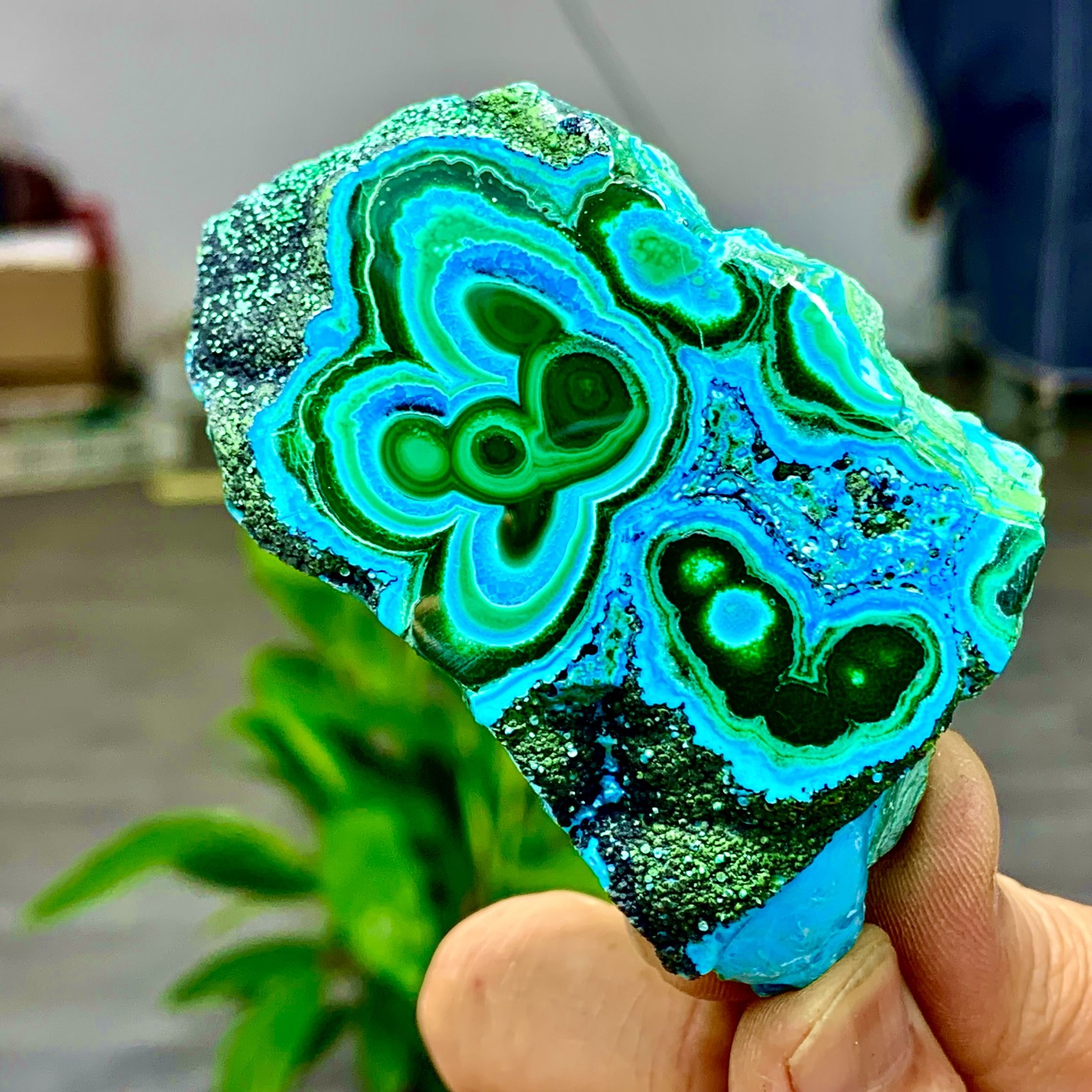 205G Natural Chrysocolla/Malachite transparent cluster rough mineral sample