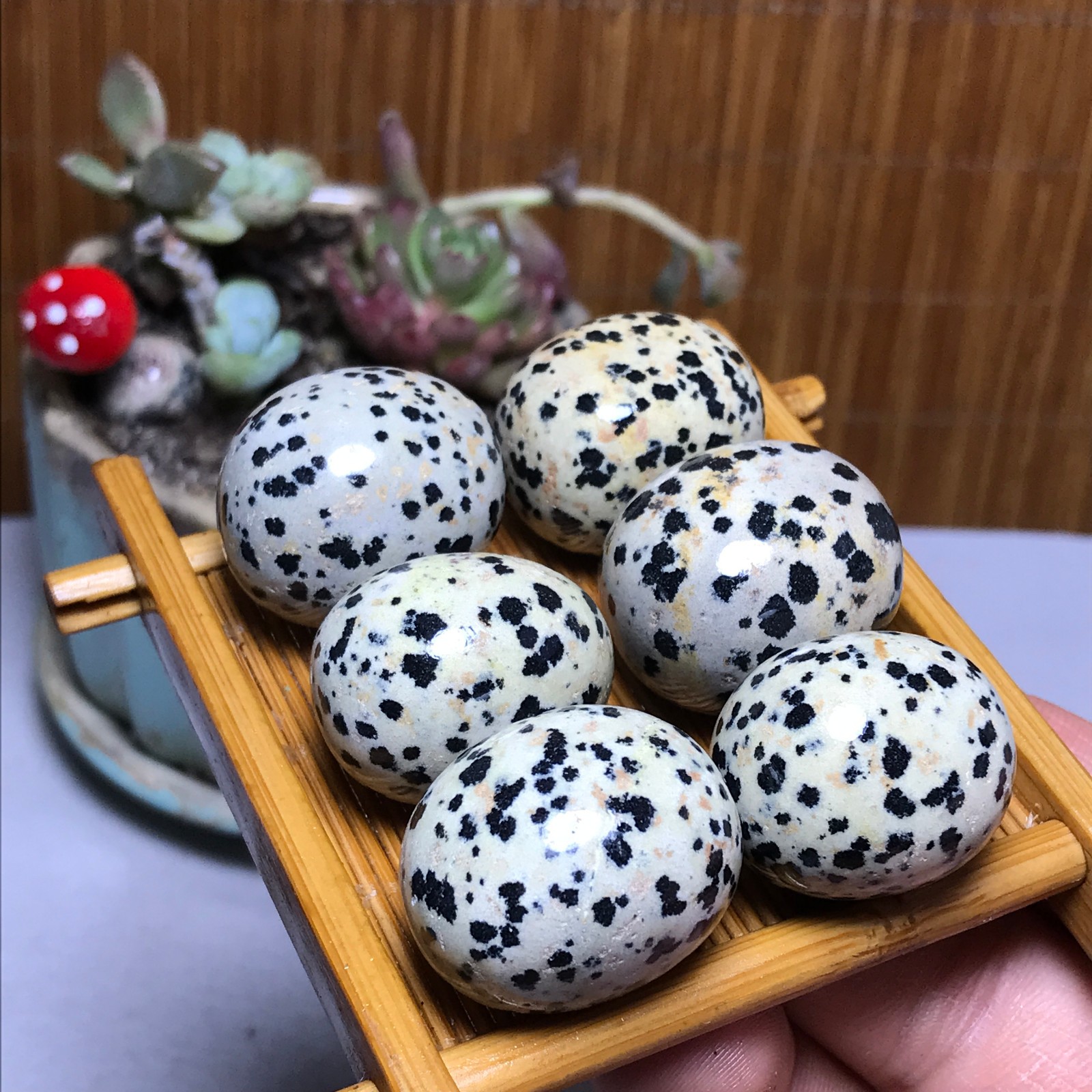 28-22-21mm 6Pcs Natural spotted stone Crystal gemstone Mineral Specimen A4402