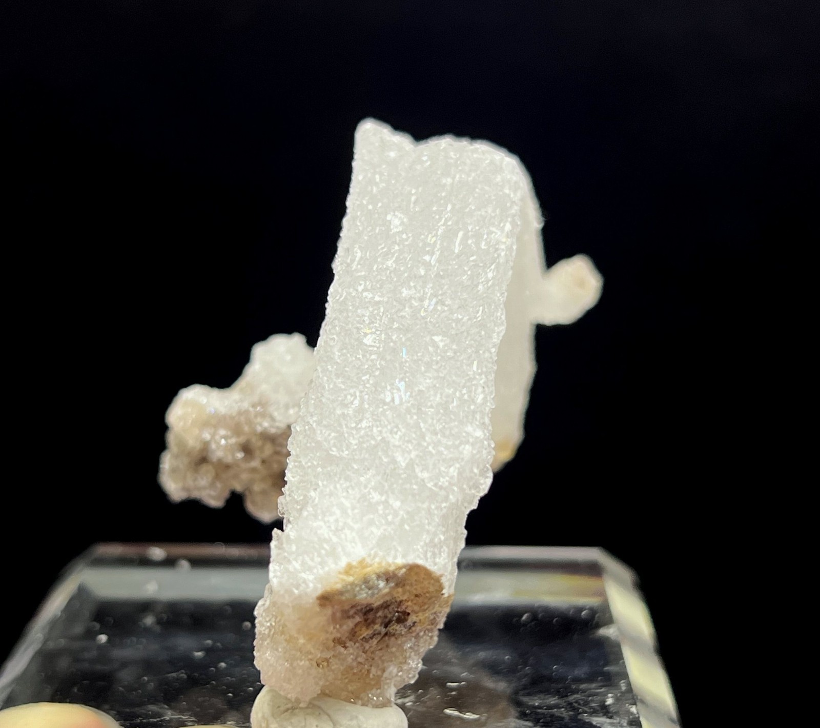 60mm 41g ‘Ram’s Horn’ shape Selenite (Gypsum), Natural Mineral Specimen