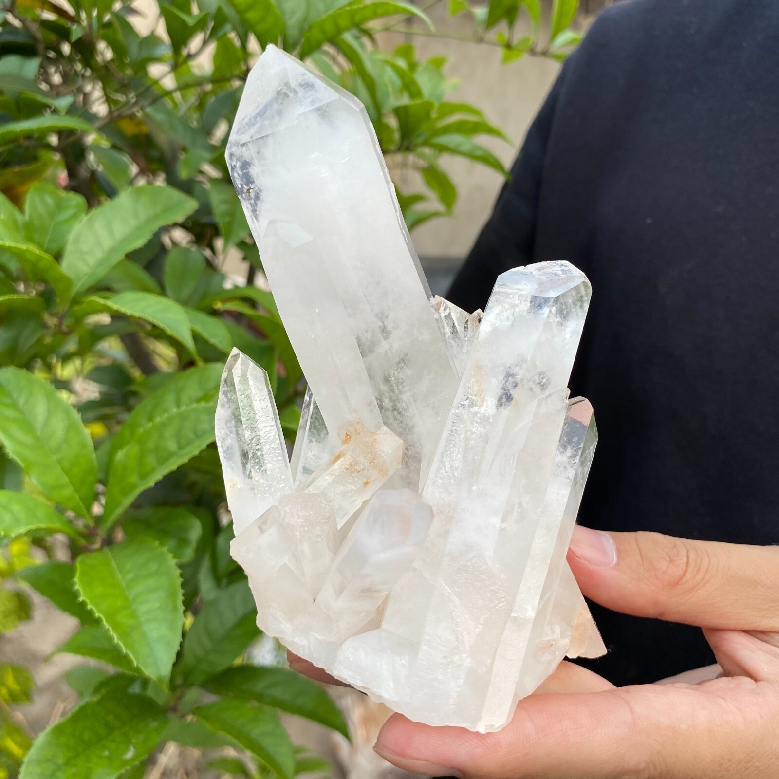 1.1lb Natural Clear White quart Crystal Cluster Raw Healing Specimen