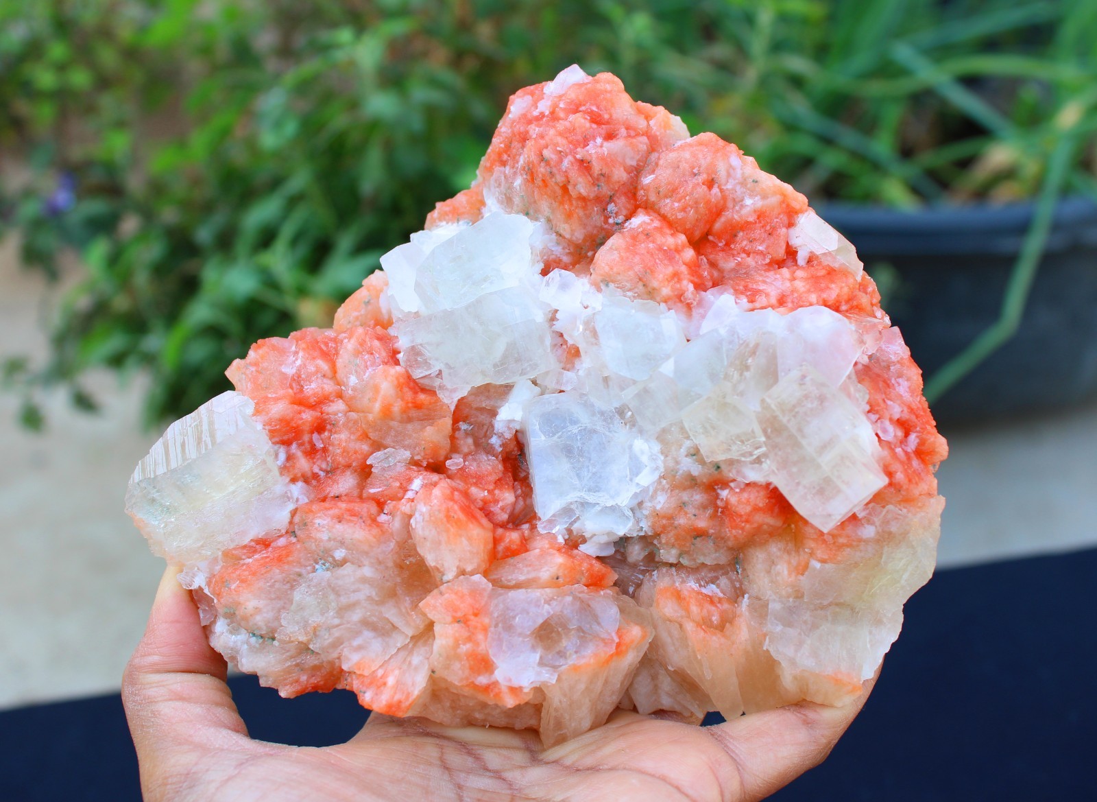 APOPHYLLITE CRYSTALS ON STILBITE MINERALS SPECIMEN#A22