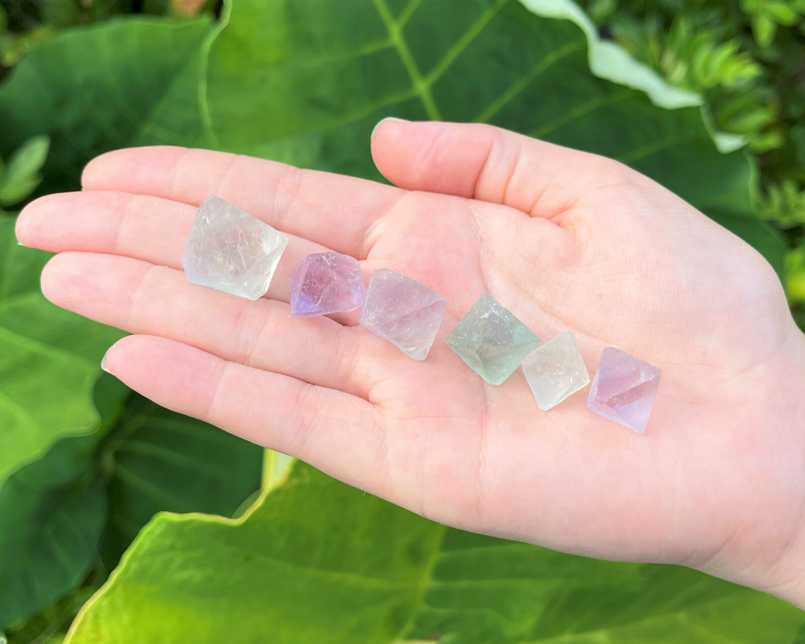 8 oz Fluorite Octahedron Natural Raw: ‘A’ Grade Specimens 1/2 lb
