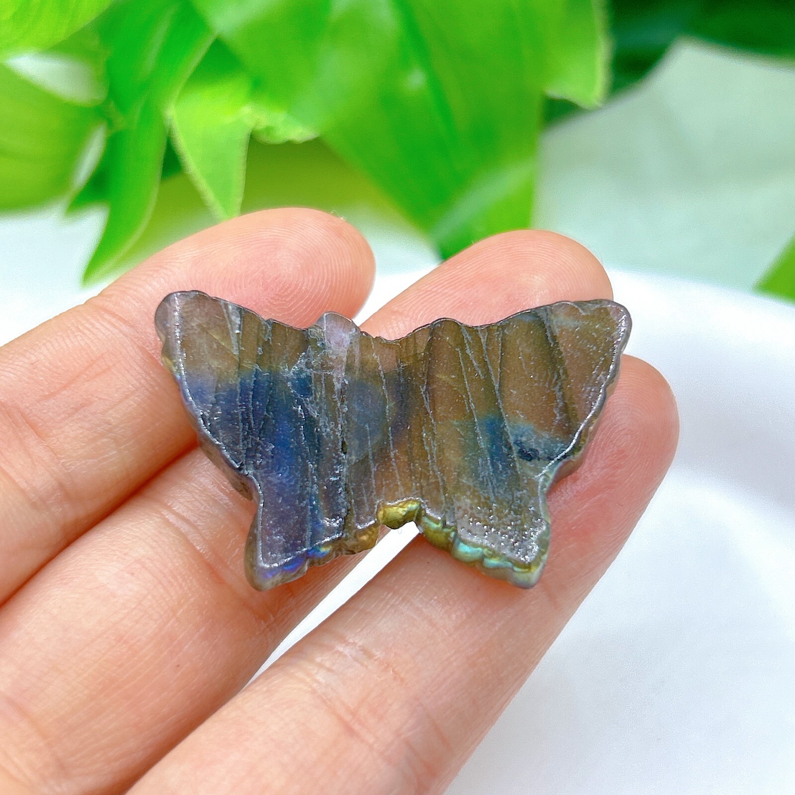 Natural labradorite Butterfly Hand Carved crystal Healing