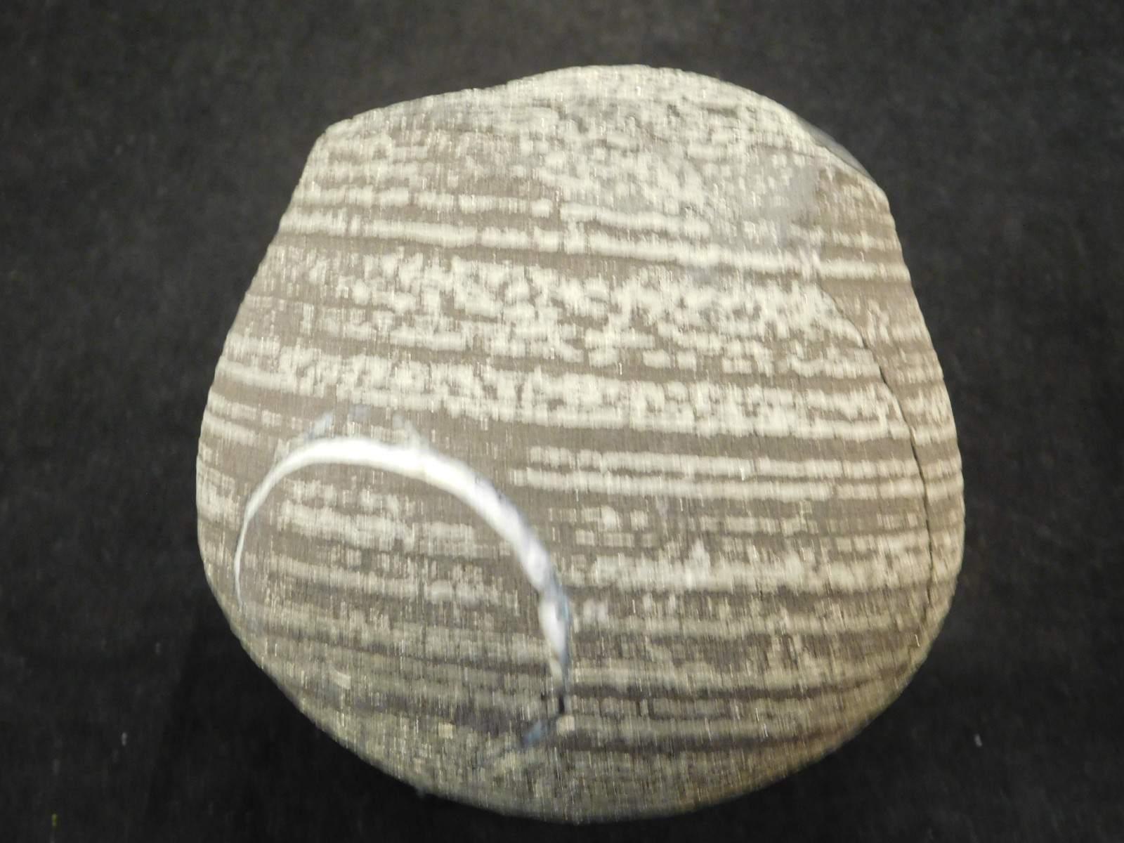 BIG! 100% Natural Ringed PYRITE Concretion From China! With Stand 1241gr