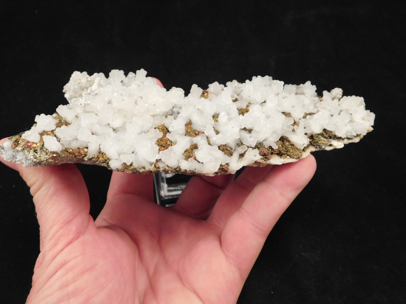 Big! MARCASITE Crystal Cluster with Fluorescent Calcite Crystals Mexico 538gr