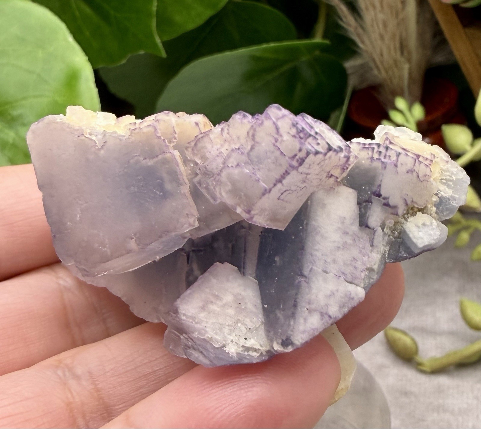 Crystal 96g Purple Blue Clear Fluorite Cluster Cube Specimen Mineral Raw