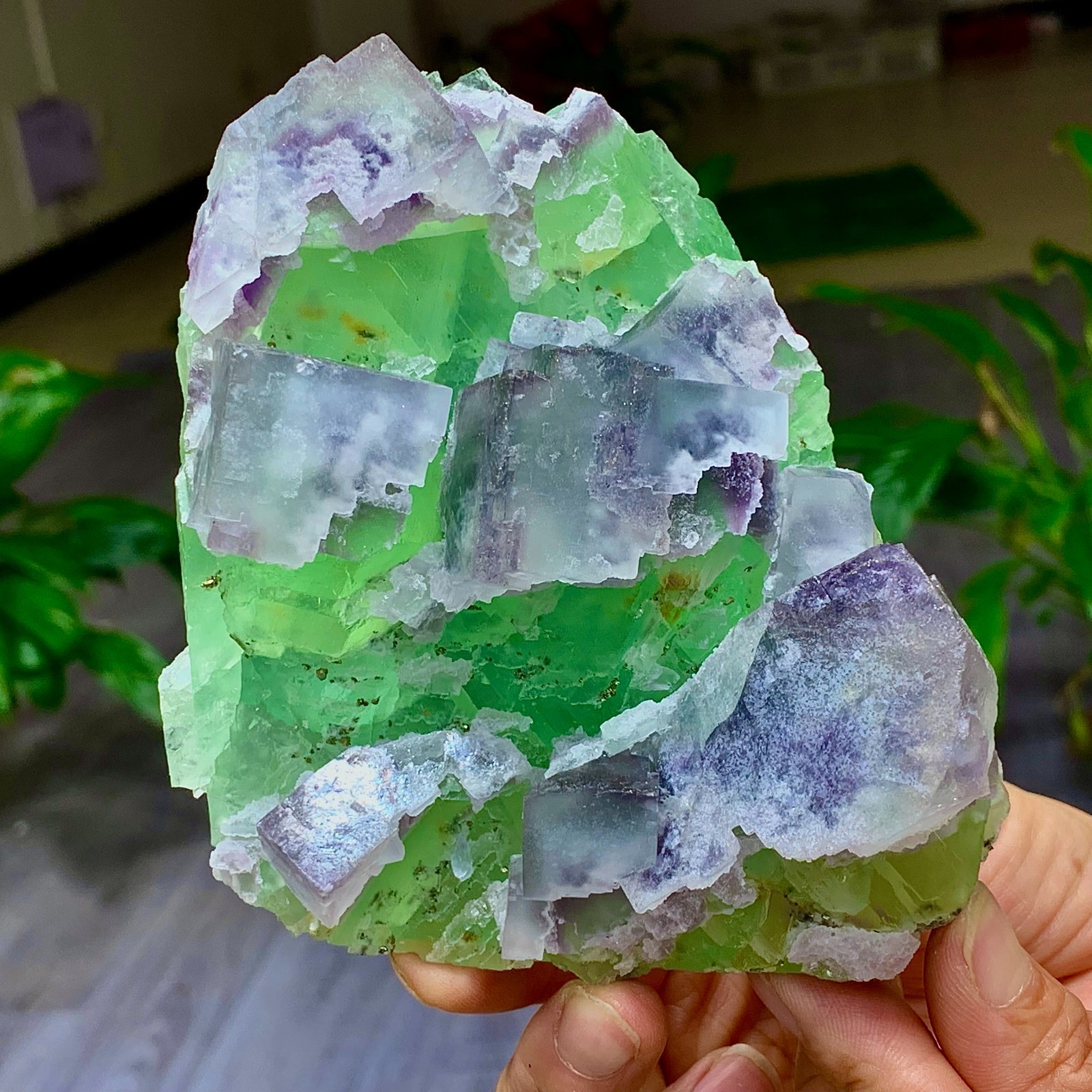 1.7LB Rare transparent green purple cubic Zhejiang fluorite mineral sample