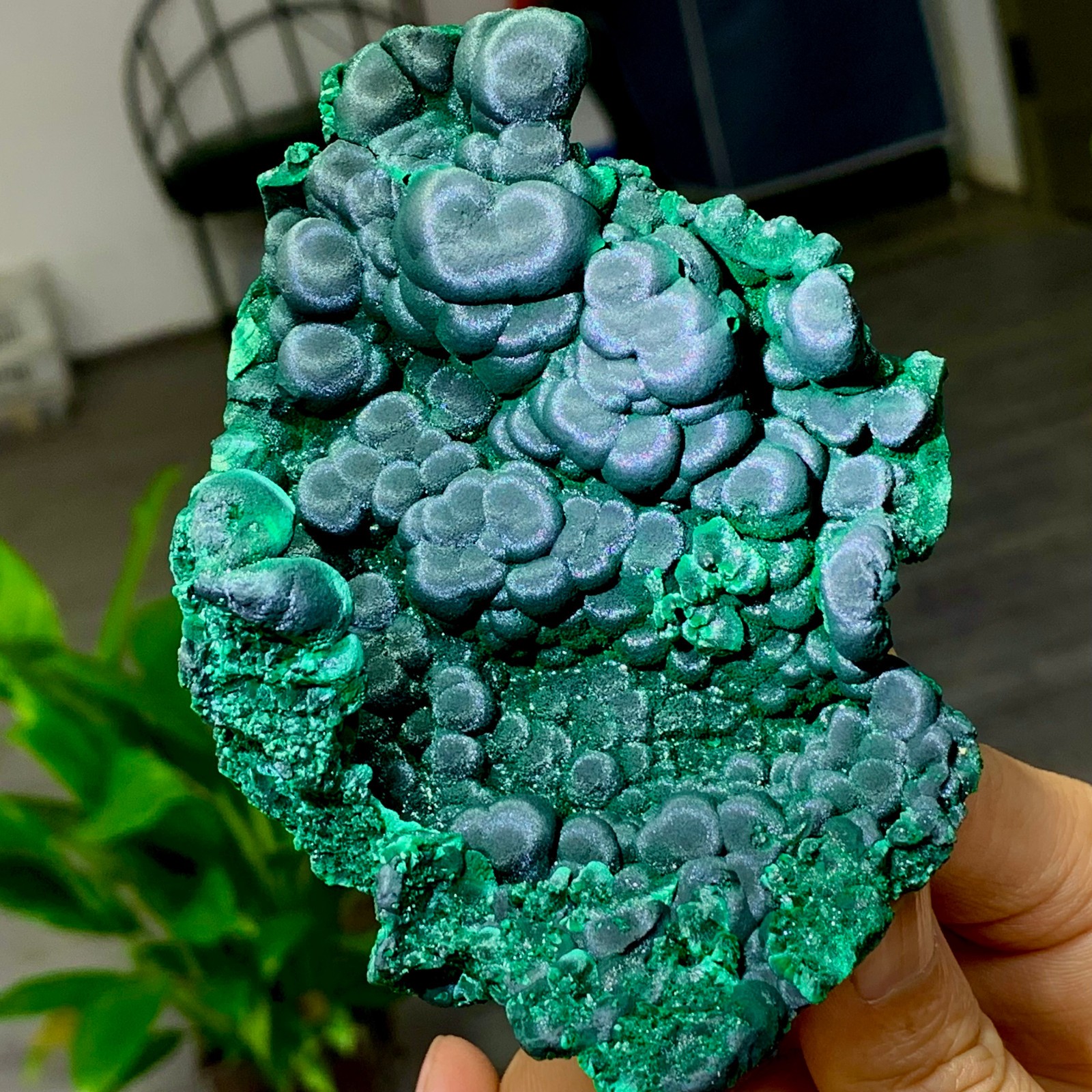 205g Natural glossy malachite cat eye transparent cluster rough mineral Sample