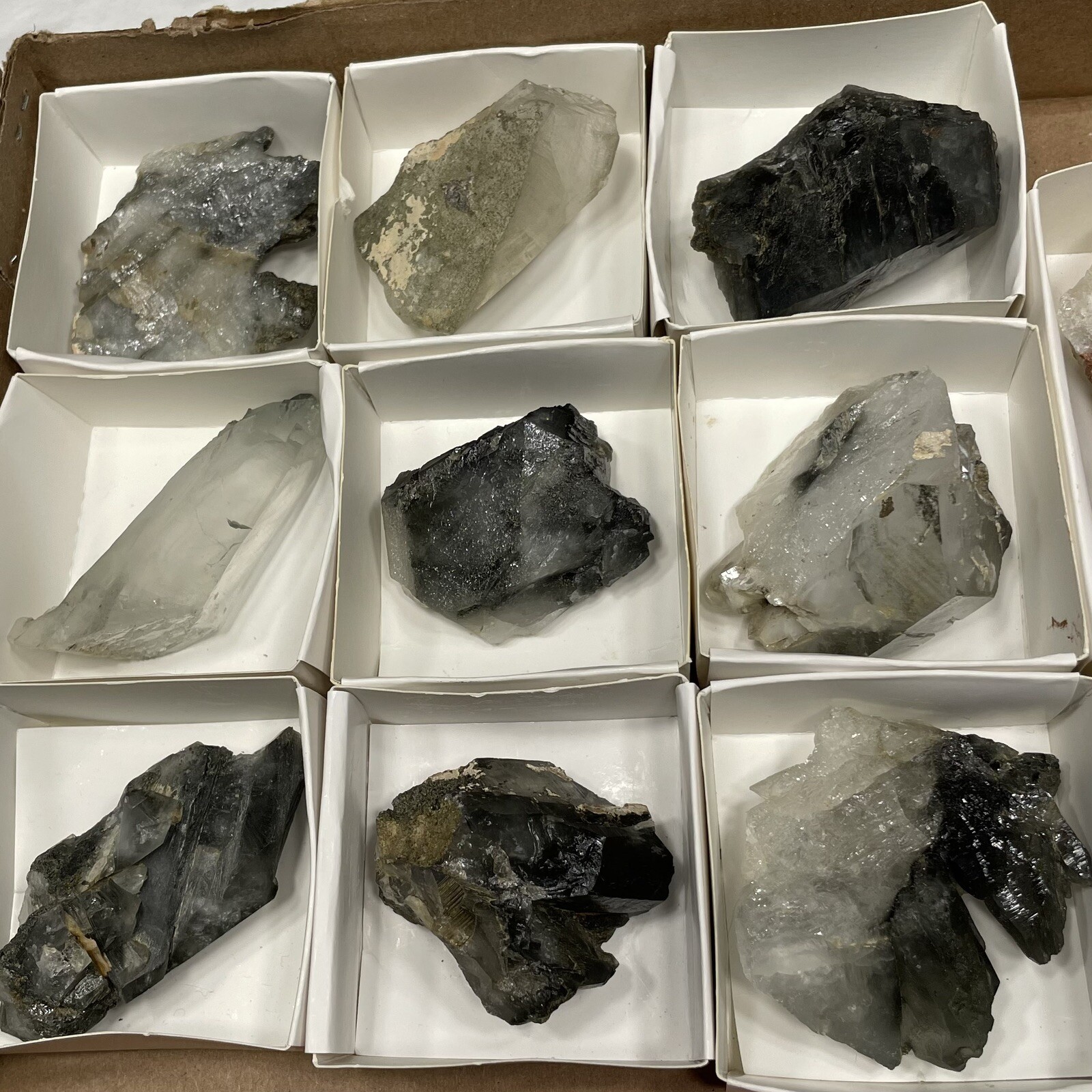 Chlorite & Amphibole In Quartz Crystal Khaplu Gilgit-Baltistan PAKISTAN Lot Of 9