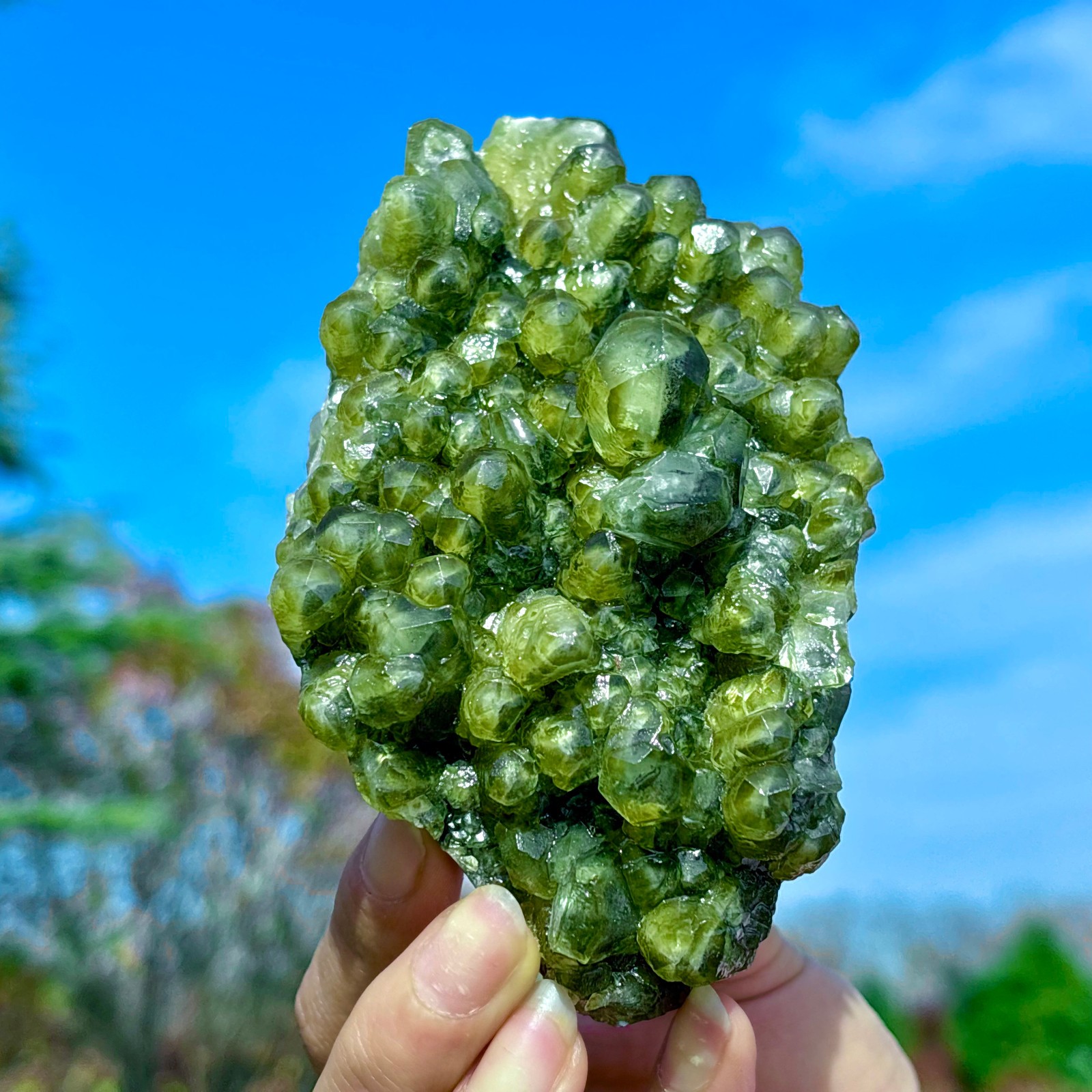 405G Natural Spherical Prehnite Crystal Gem Mineral Specimen&Crystallization
