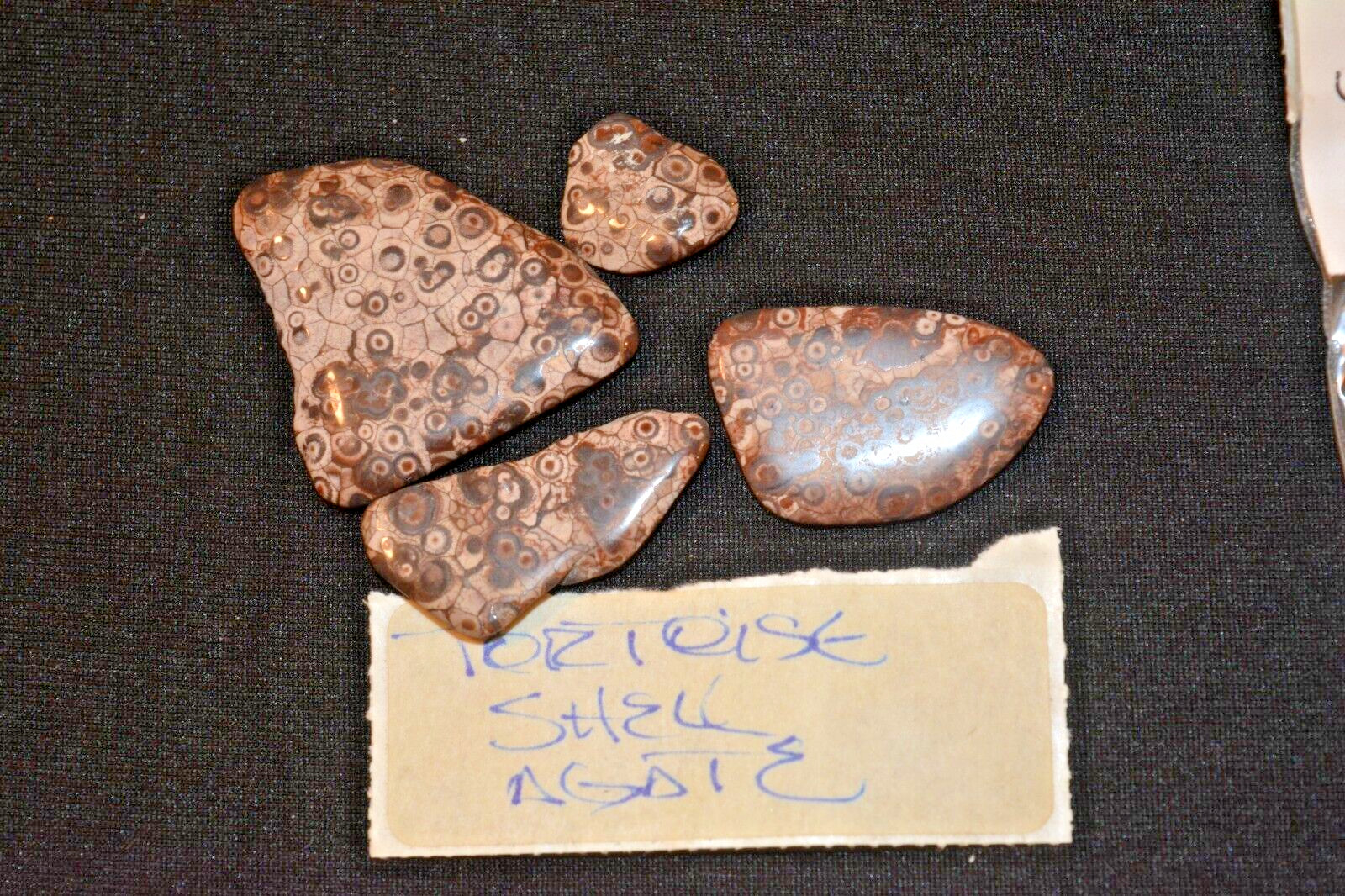 Assorted Agate stones: Snake Skin, Green Moss, Tortoise, Moss Agetes