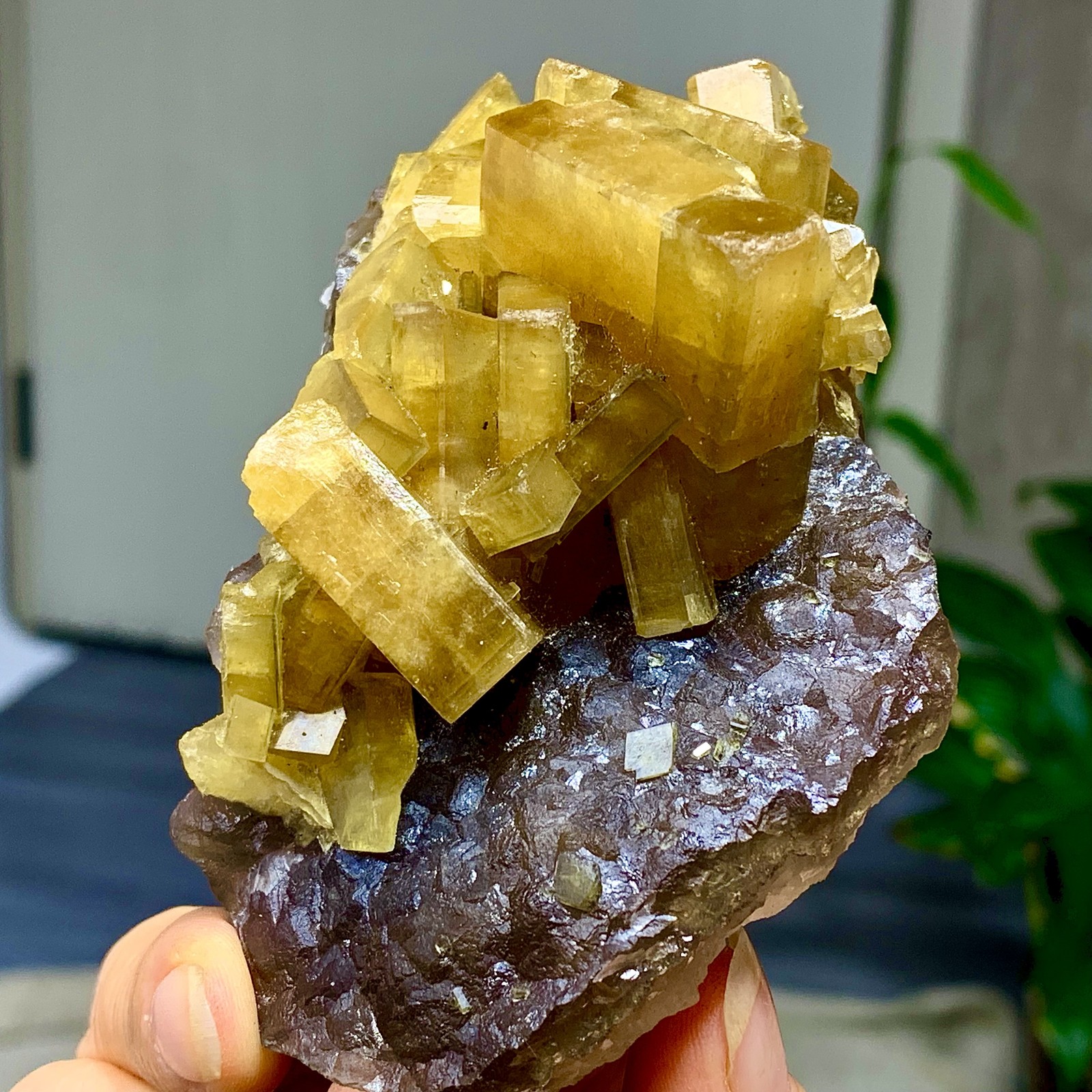 338G Shiny Golden Cuboid Barite Crystal Based on the Purple Spherical Fluorite