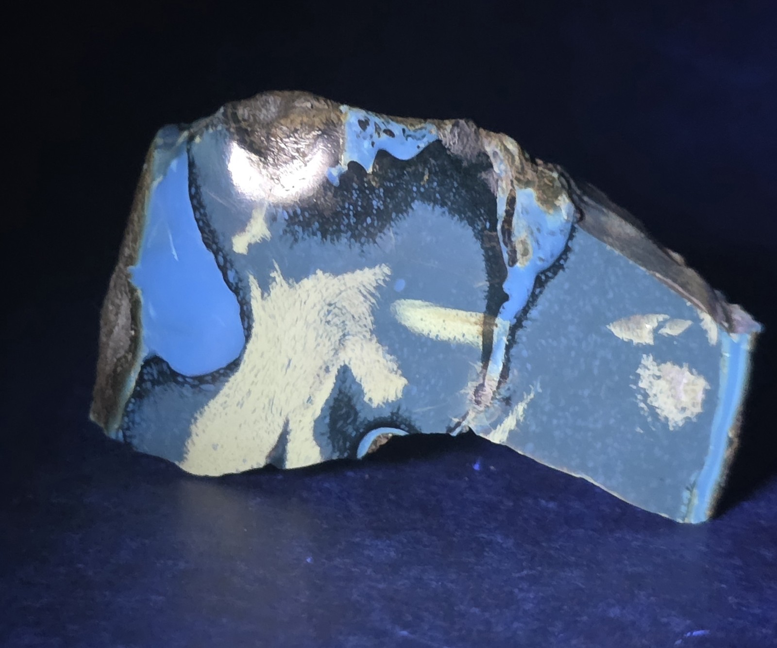 Polished Blue Amber | UV Reactive Amber Indonesia B116