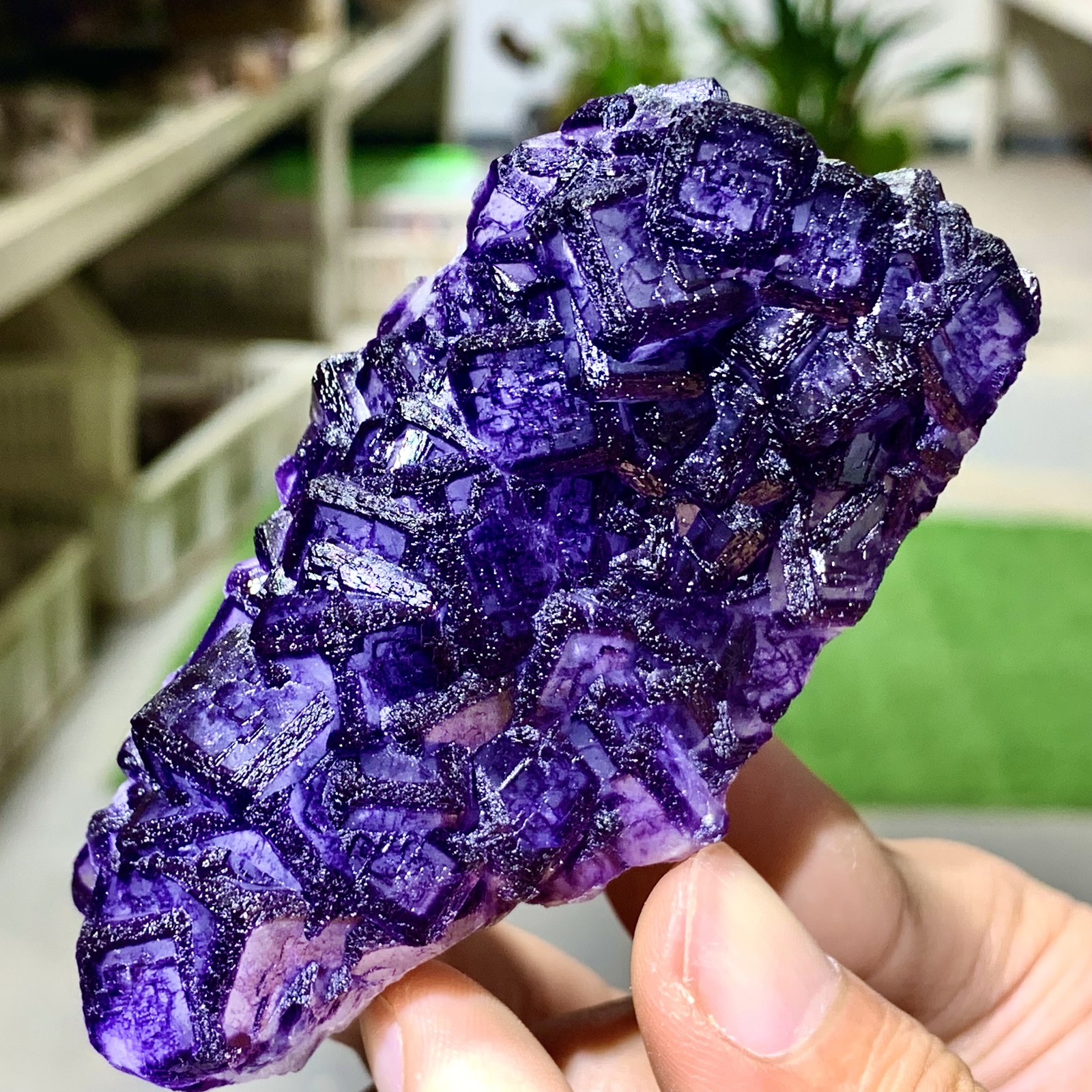 211G Inner Mongolia Natural Fluorite Purple Edged Cube Crystal Mineral Specimen
