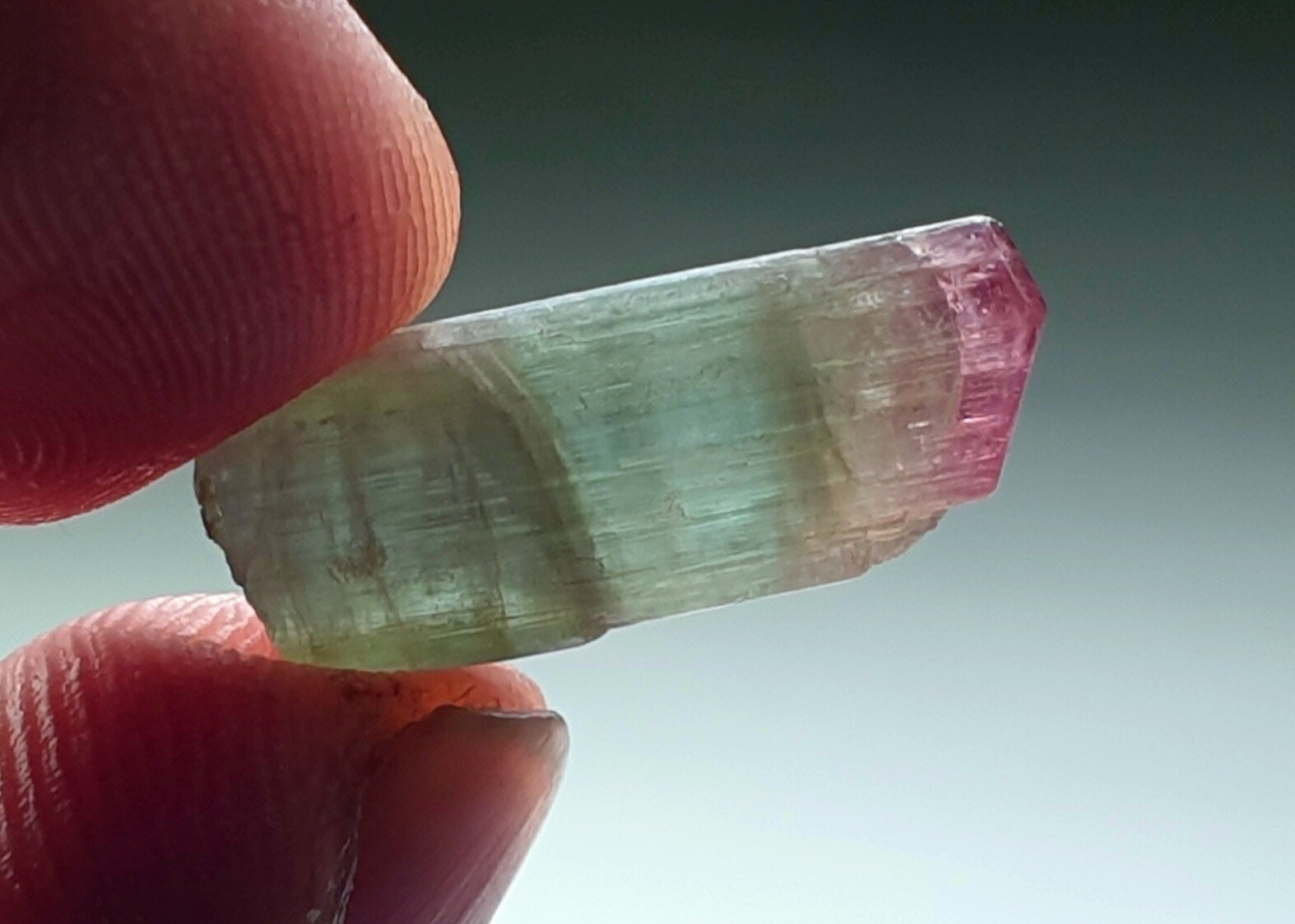 Saturated Multi Colour Terminated Tourmaline Crystal From Paprok Mine Afg