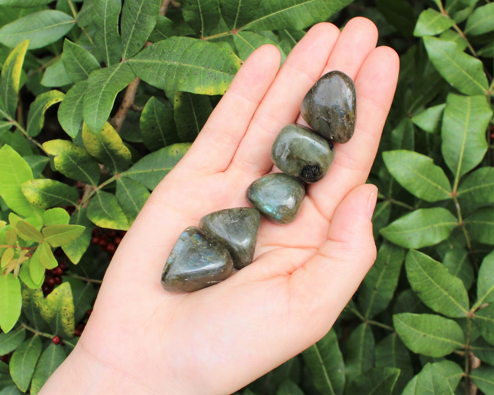 5 Labradorite Tumbled Stone (Crystal Healing Reiki Gemstone)