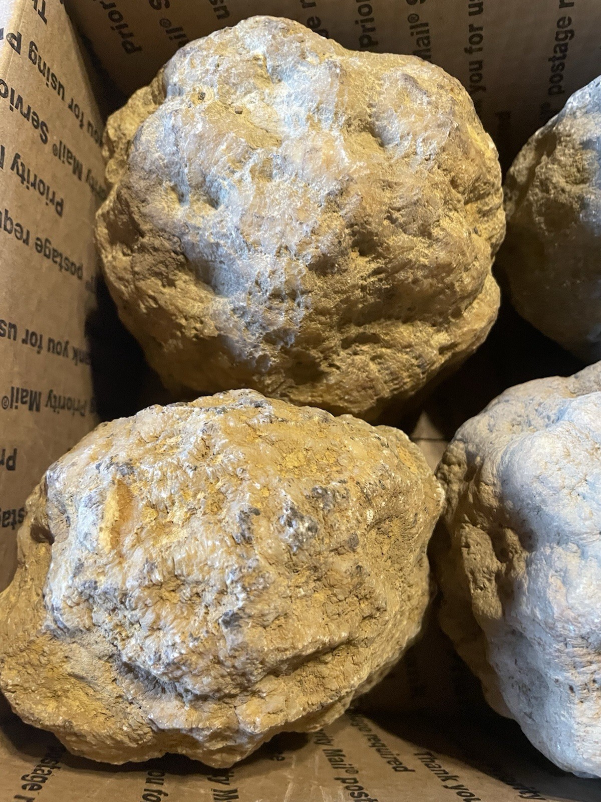 BOX OF KENTUCKY GEODES:4 BIG GEODES ALL RATTLE *4=21 LBS* ALL RATTLE