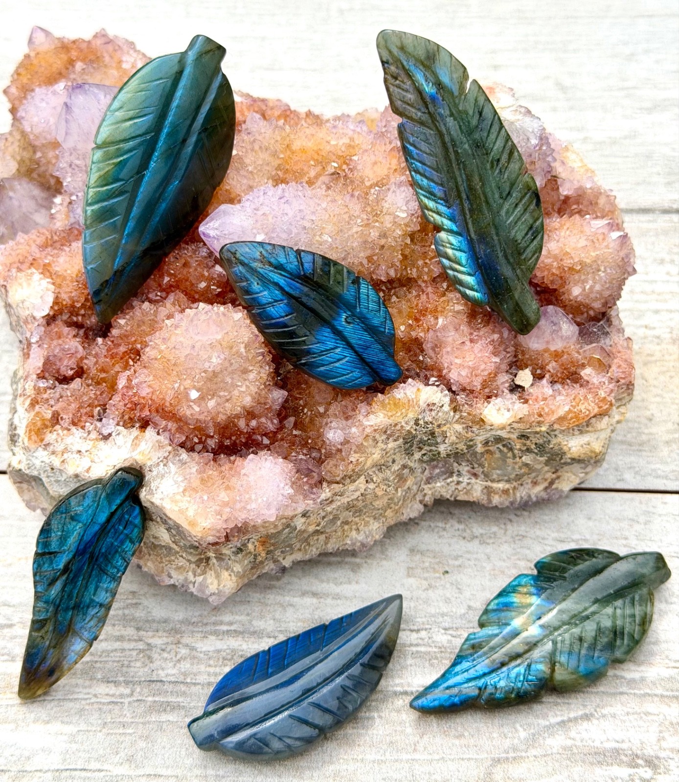 Wholesale Lot 6 PCs Natural Labradorite Leaf Crystal Healing Energy