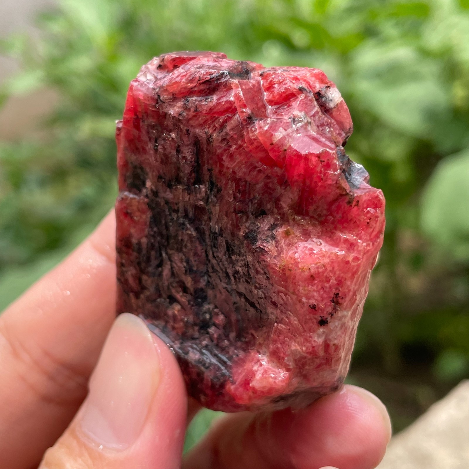 74g Small Raw Ore Red Black Rhodonite Quartz Gemstone Mineral Specimen