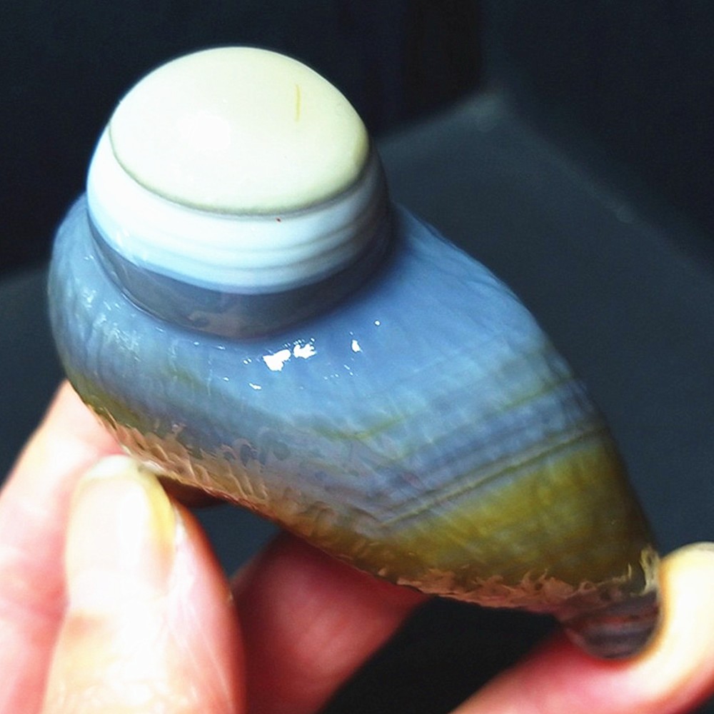RARE 96.2G Natural Inner Mongolia Gobi Eye Agate Stone Collection AC888