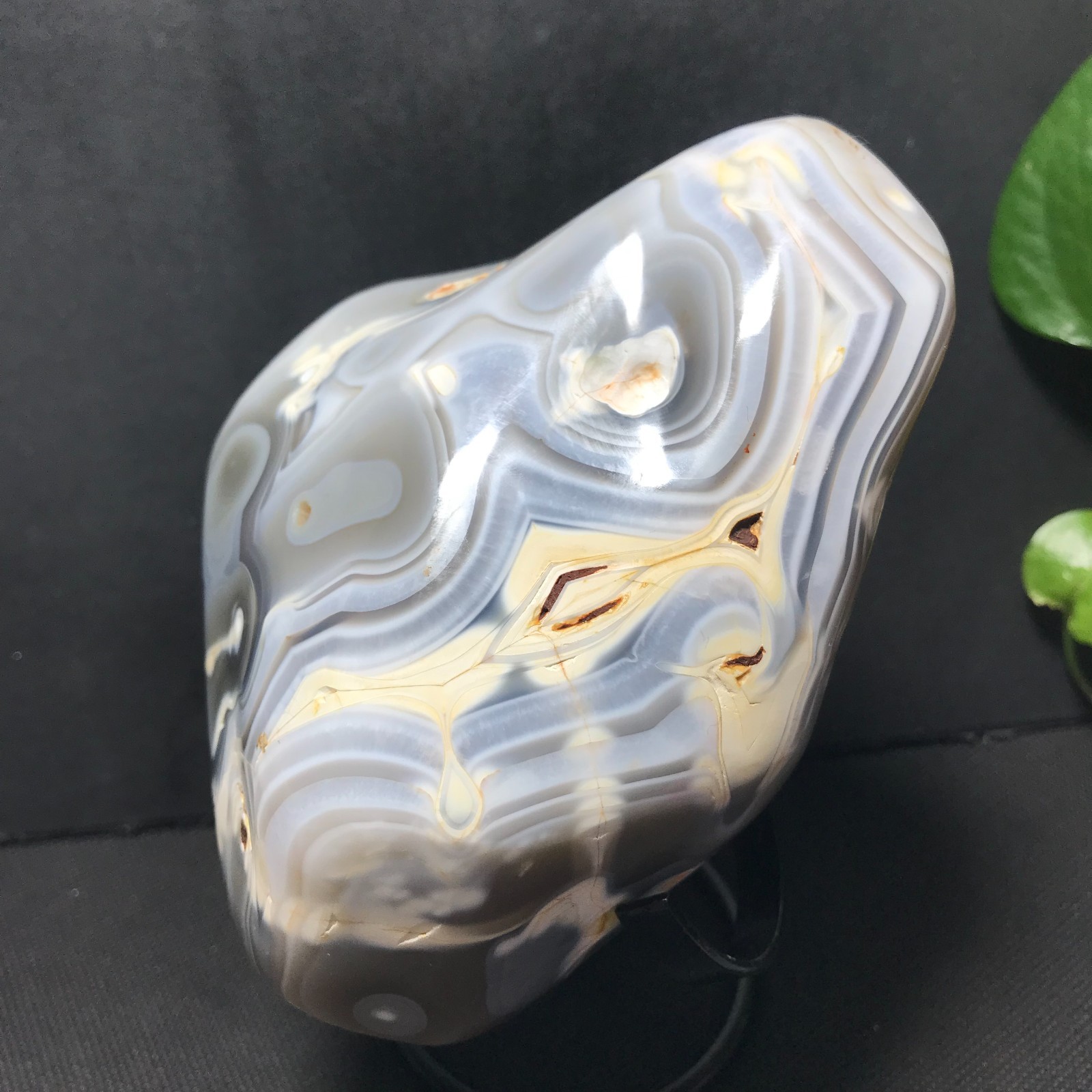1116g Natural Botswana Agate Black White Scenic Pattern Display Specimen 03