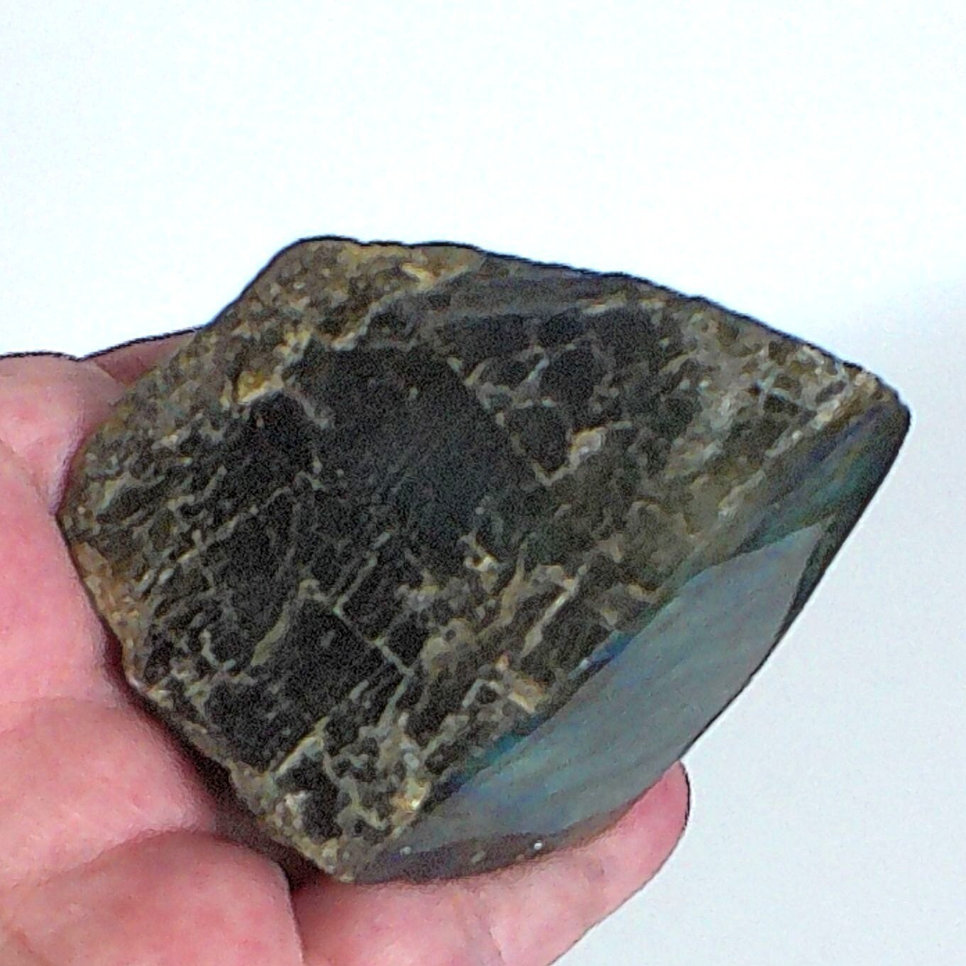 Natural Labradorite Crystal Specimen Polished Flash Iridescent Blue Green Rough