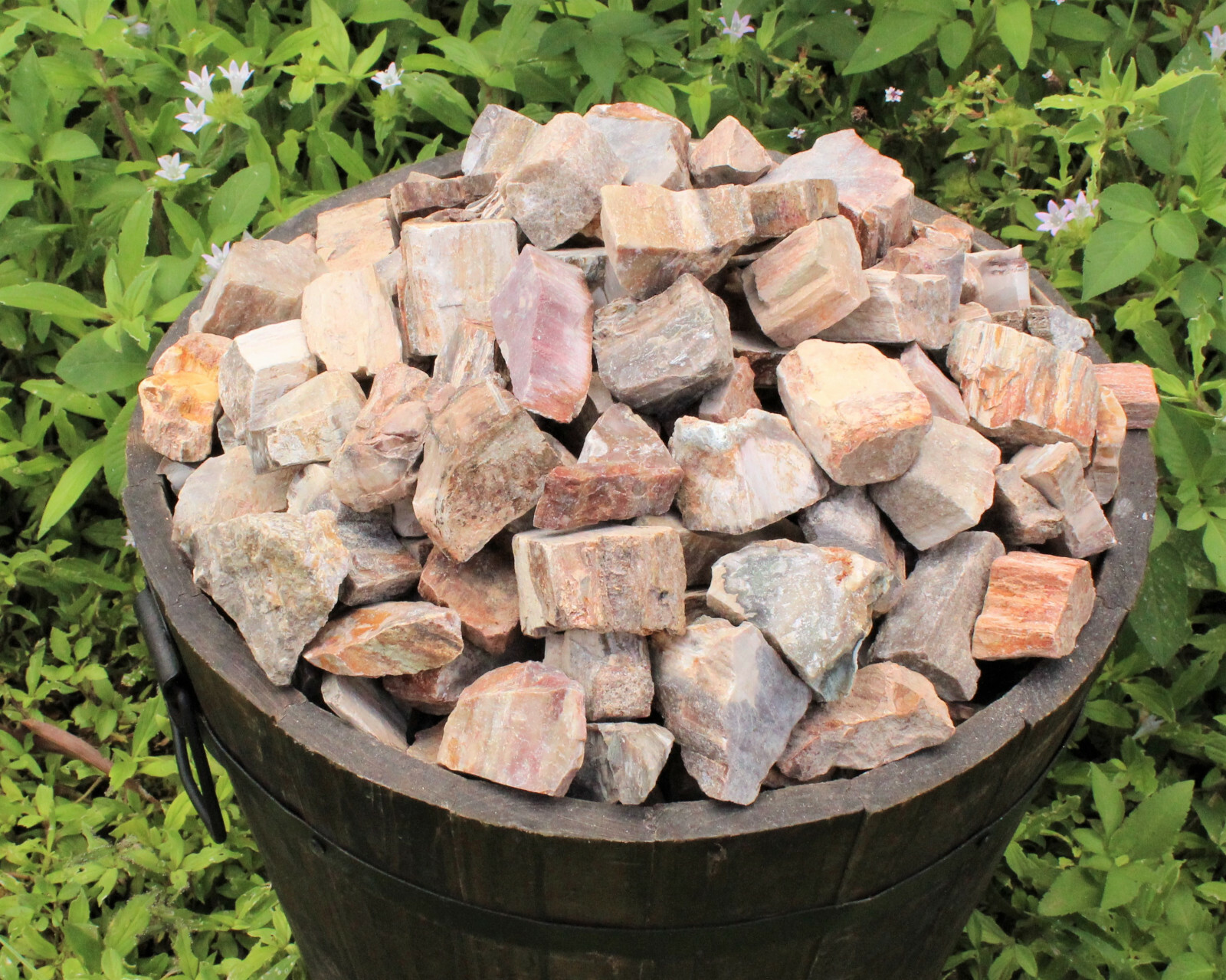 1/4 lb Petrified Wood Rough Natural Stones Bulk Wholesale Raw 4 oz