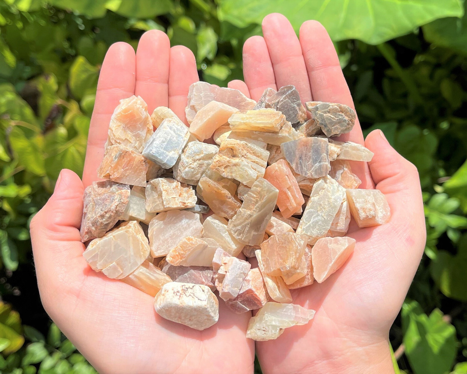 Moonstone Rough Natural Chips Wholesale Bulk Lots (Raw Moonstone Crystal Chips)