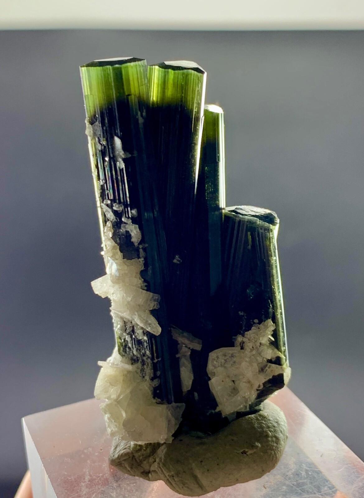 24 Gram Supper Fantastic Green Cap Tourmaline crystal penetrate in quartz beauty