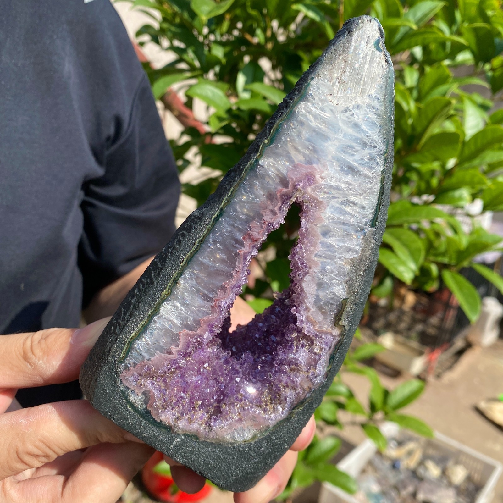 730G Natural Amethyst geode quartz cluster crystal specimen Healing
