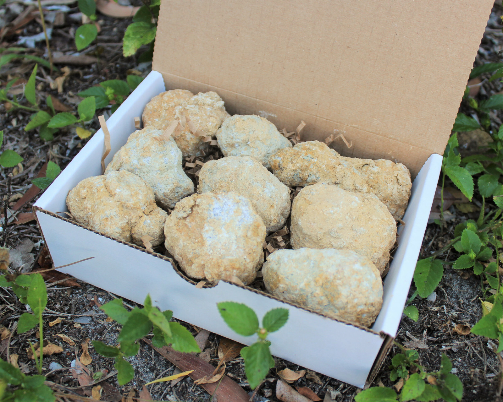 Break Your Own Geodes Gift Box (8 – 12 pcs) Large Unopened Moroccan Crystals