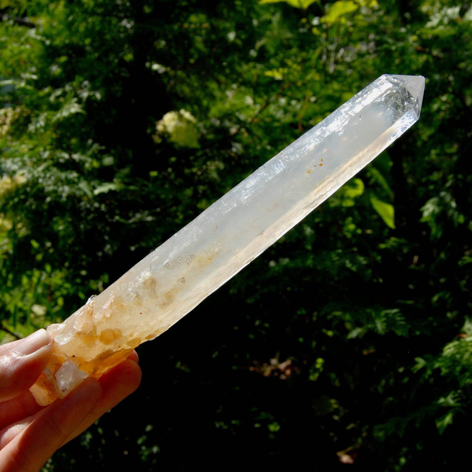XL AAA Colombian Blue Smoke Lemurian Quartz Crystal Starbary, 8.5″ 244g Record K