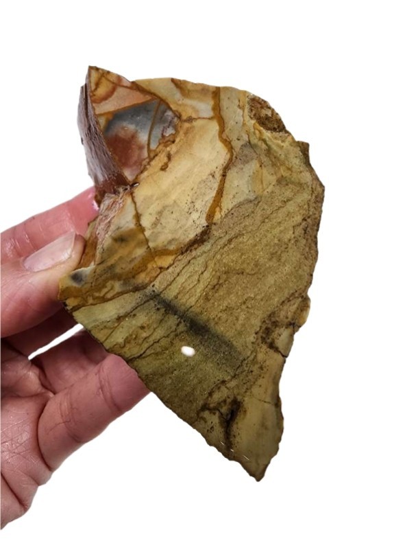 Picture Jasper Faced Rough 122.4 grams. Lapidary or Display
